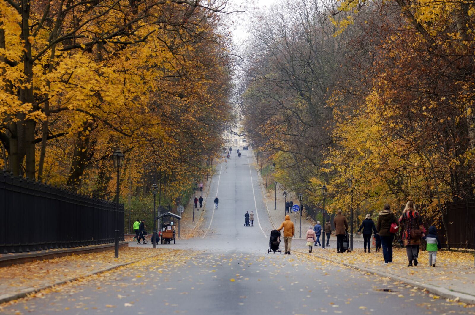 Nikon D5100 sample photo. Landscape, autumn, street photography
