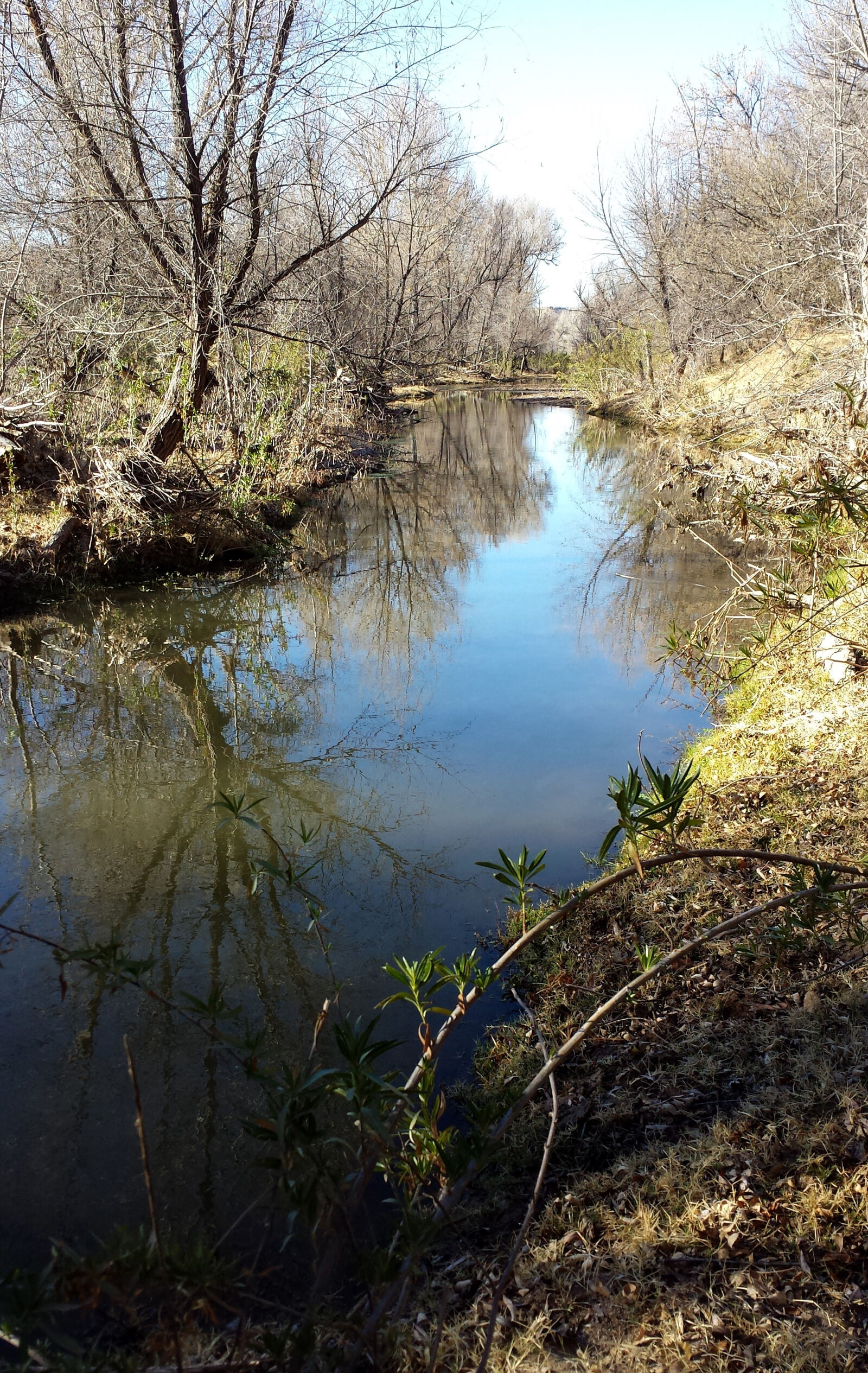 Samsung Galaxy S4 sample photo