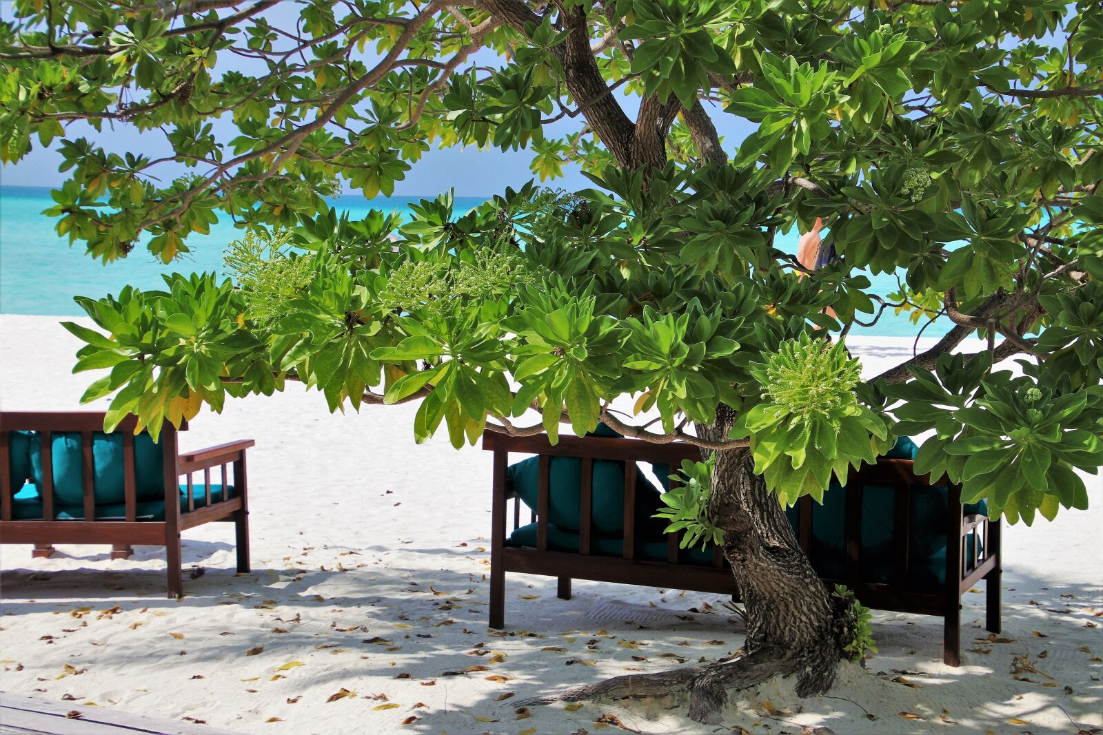 Canon EOS 80D sample photo. Maldives, sand, resort photography