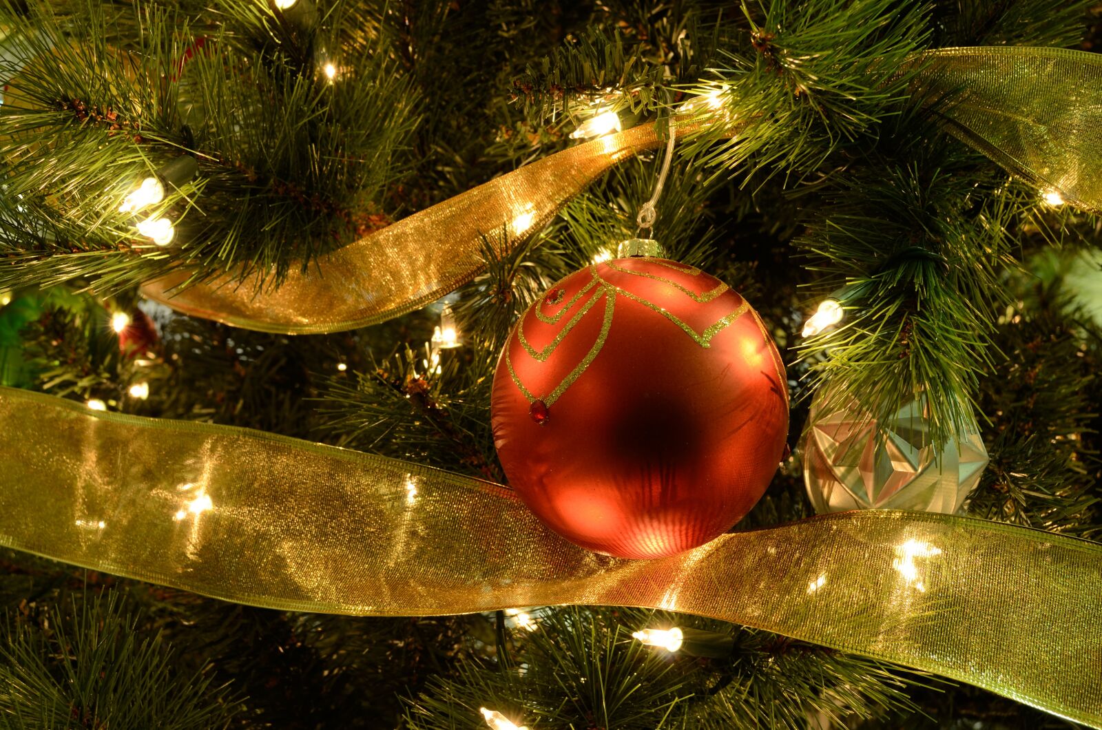 Nikon D5100 sample photo. Holiday tree, christmas, christmas photography