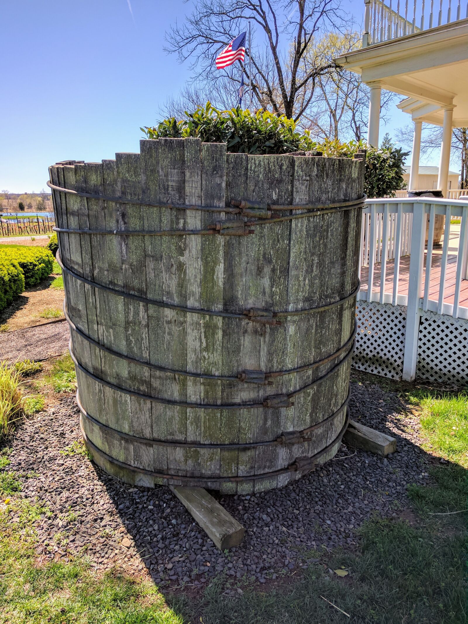 Google Nexus 6P sample photo. Grape press, wine, winery photography