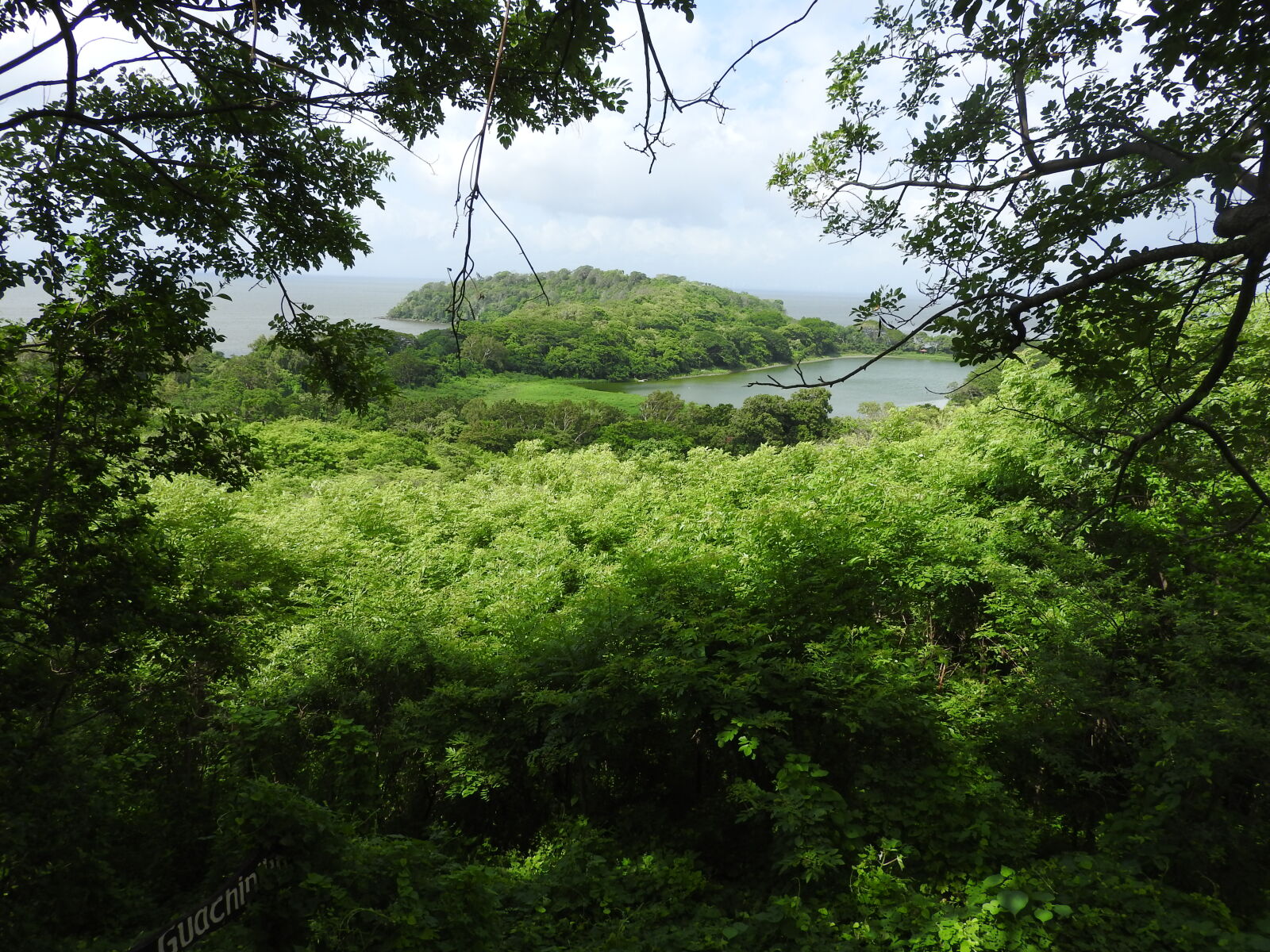 Nikon Coolpix P610 sample photo. Isla, d, ometepe, nicaragua photography