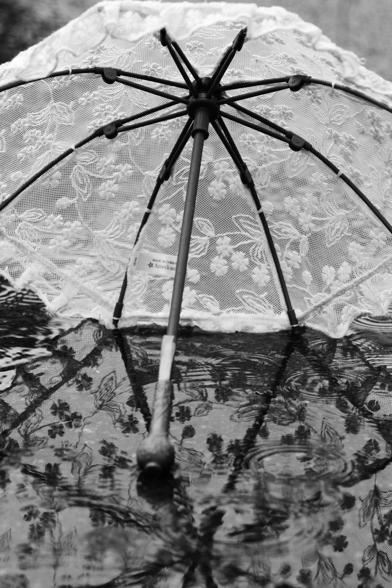 Canon EOS 7D Mark II sample photo. Umbrella, parasol, water photography