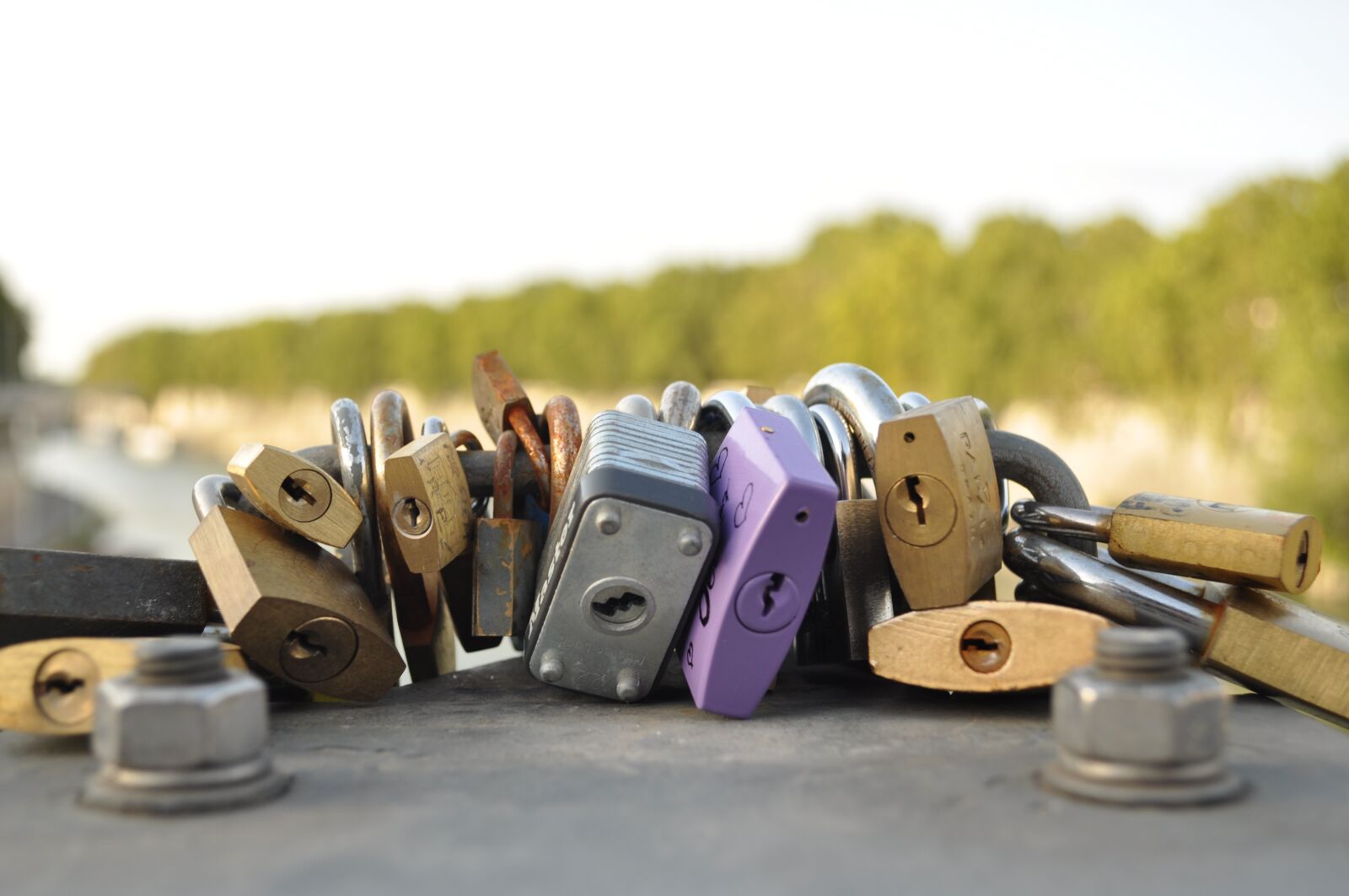 Nikon D5000 sample photo. Rome, italia, padlock photography