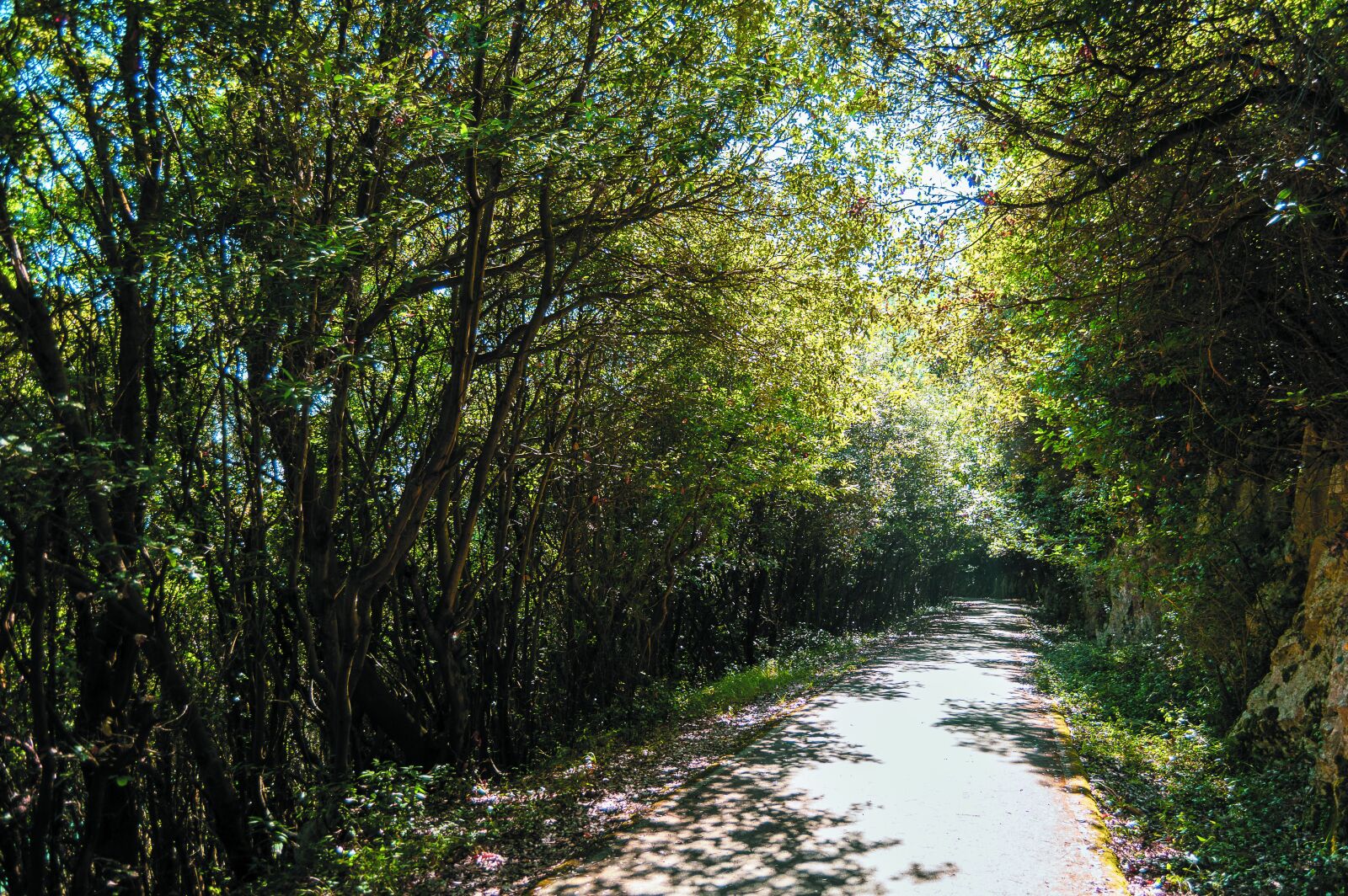 Nikon D3200 sample photo. Mountains, route, road photography