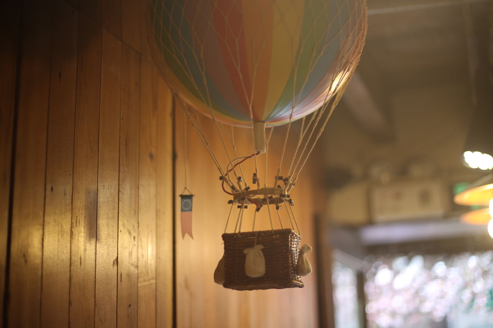 Canon EOS 6D + Canon EF 50mm F1.8 STM sample photo. Hot, air, balloon photography
