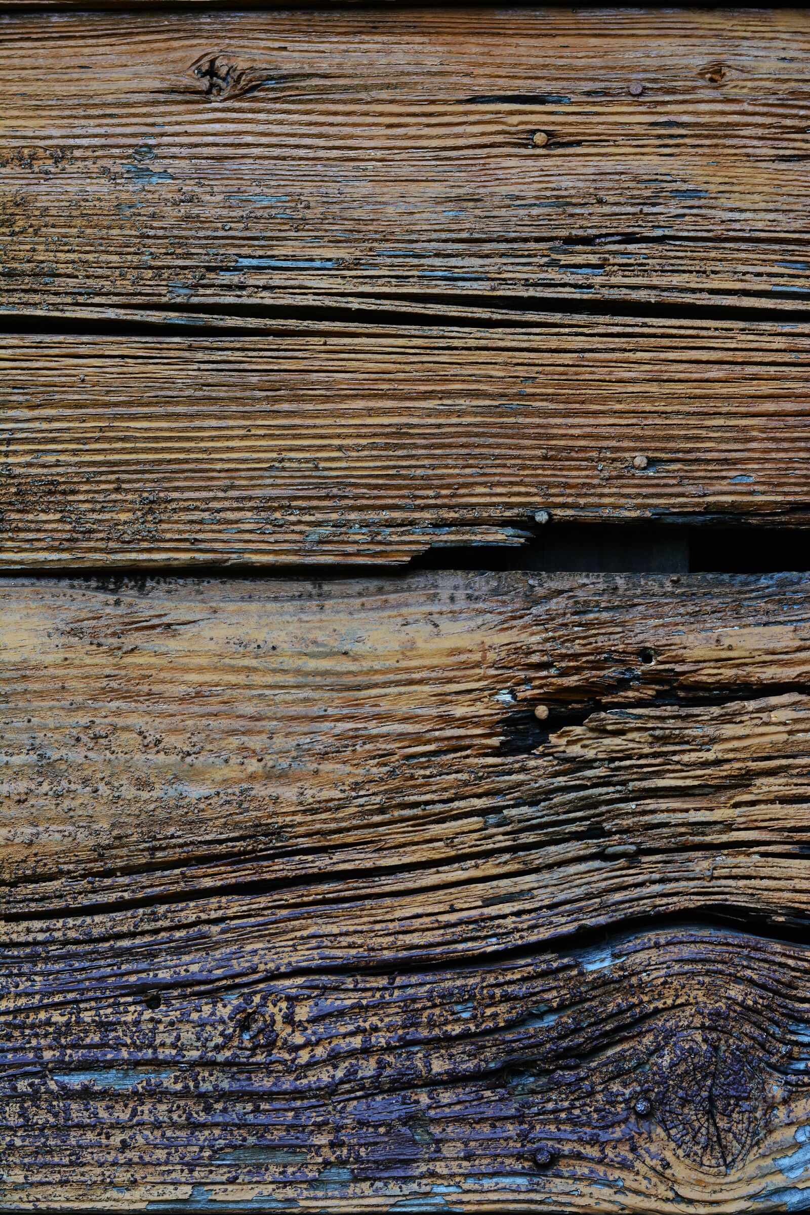 Nikon D5200 sample photo. Wood, wooden structure, background photography