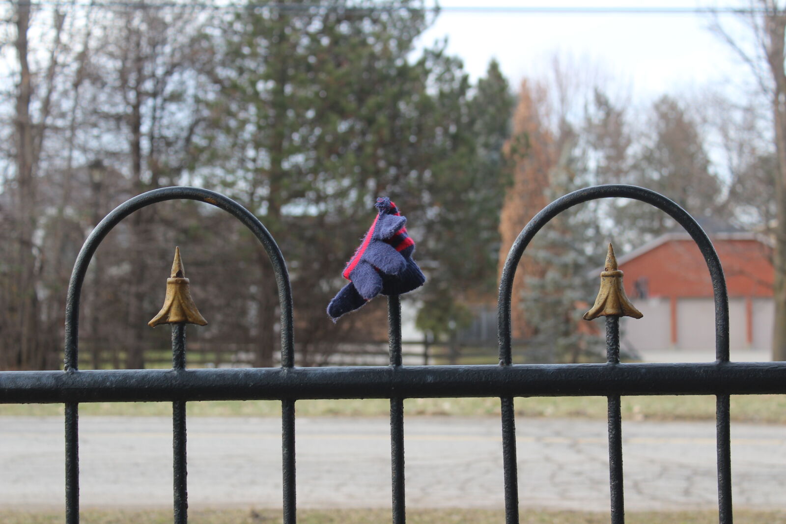 Canon EOS 1200D (EOS Rebel T5 / EOS Kiss X70 / EOS Hi) sample photo. Autumn, cold, community, focused photography
