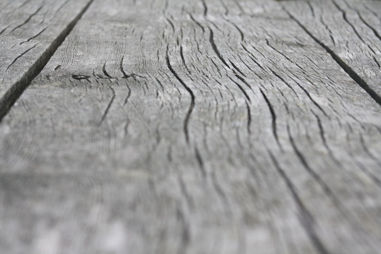 Canon EOS 1000D (EOS Digital Rebel XS / EOS Kiss F) sample photo. Table, wood, background photography