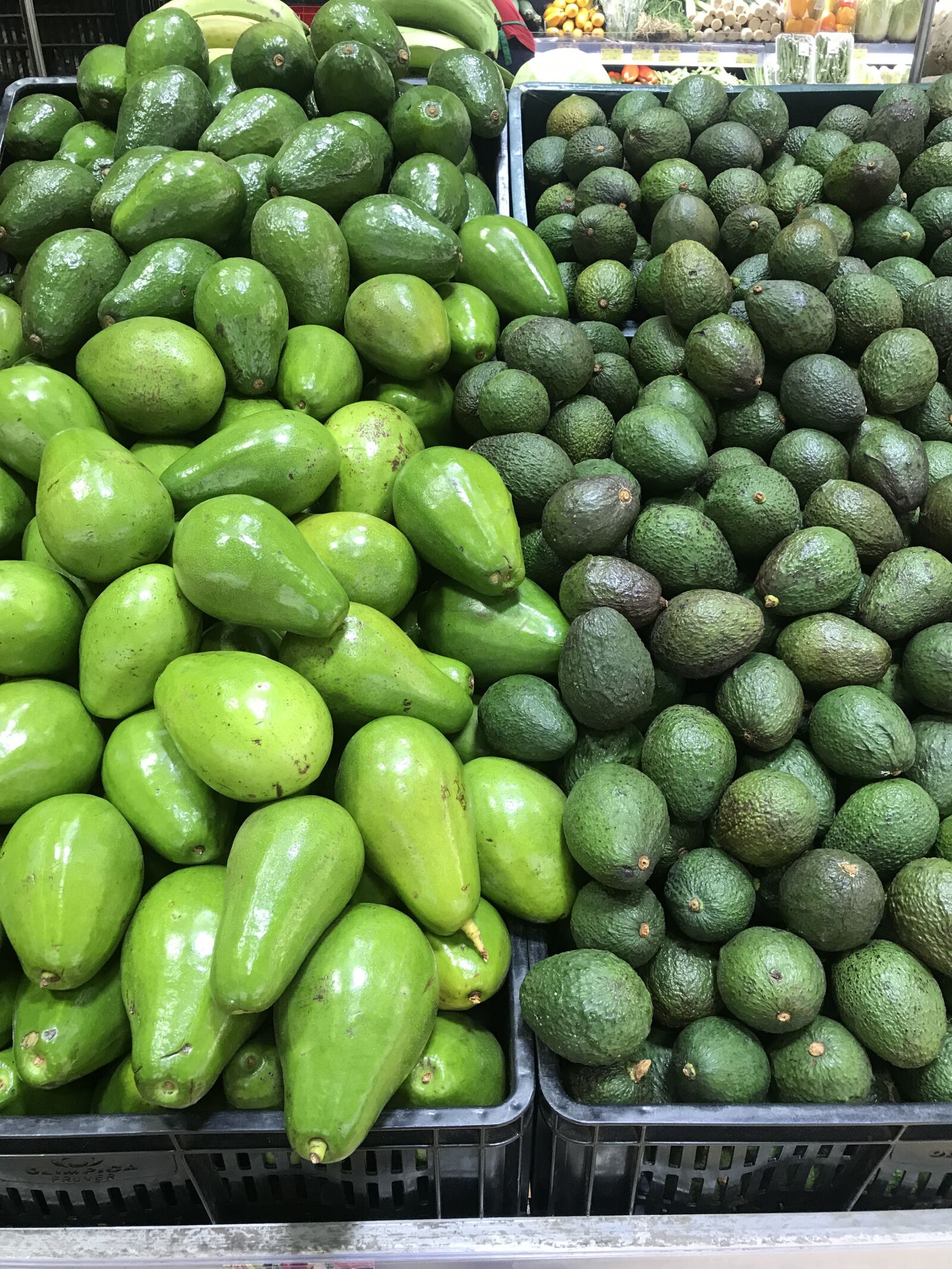 Apple iPhone 7 Plus sample photo. Colombia, avocado, medellin photography