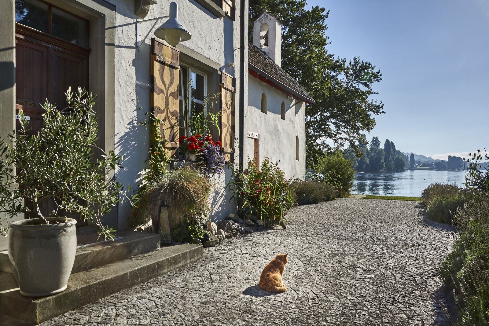 Sony SLT-A77 sample photo. Architecture, house, cat photography