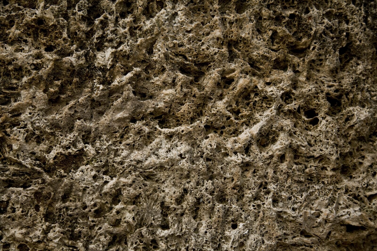 Canon EOS 5D sample photo. Stone, surface, texture photography