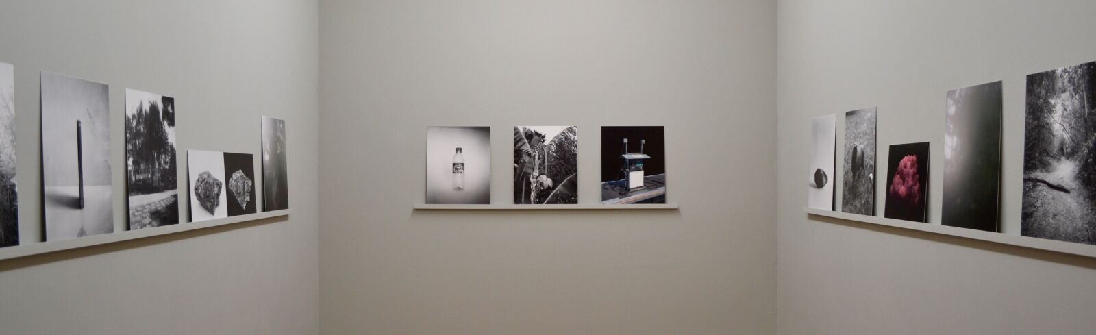 Nikon D3100 sample photo. Art, exhibition photography