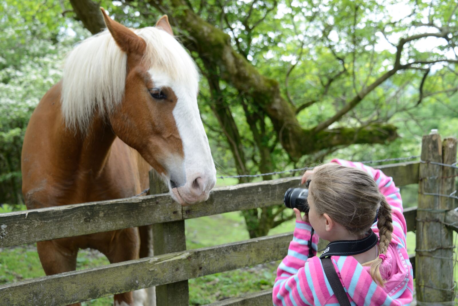 Nikon D800 sample photo. Young, girl, photographing photography
