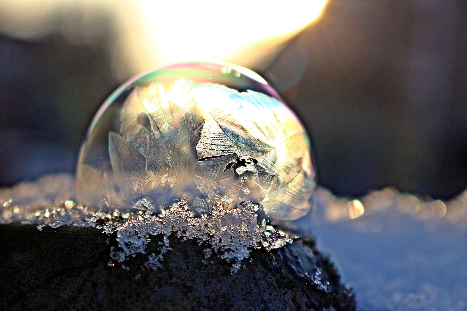 Canon EOS 100D (EOS Rebel SL1 / EOS Kiss X7) sample photo. Frost bubble, frozen bubble photography
