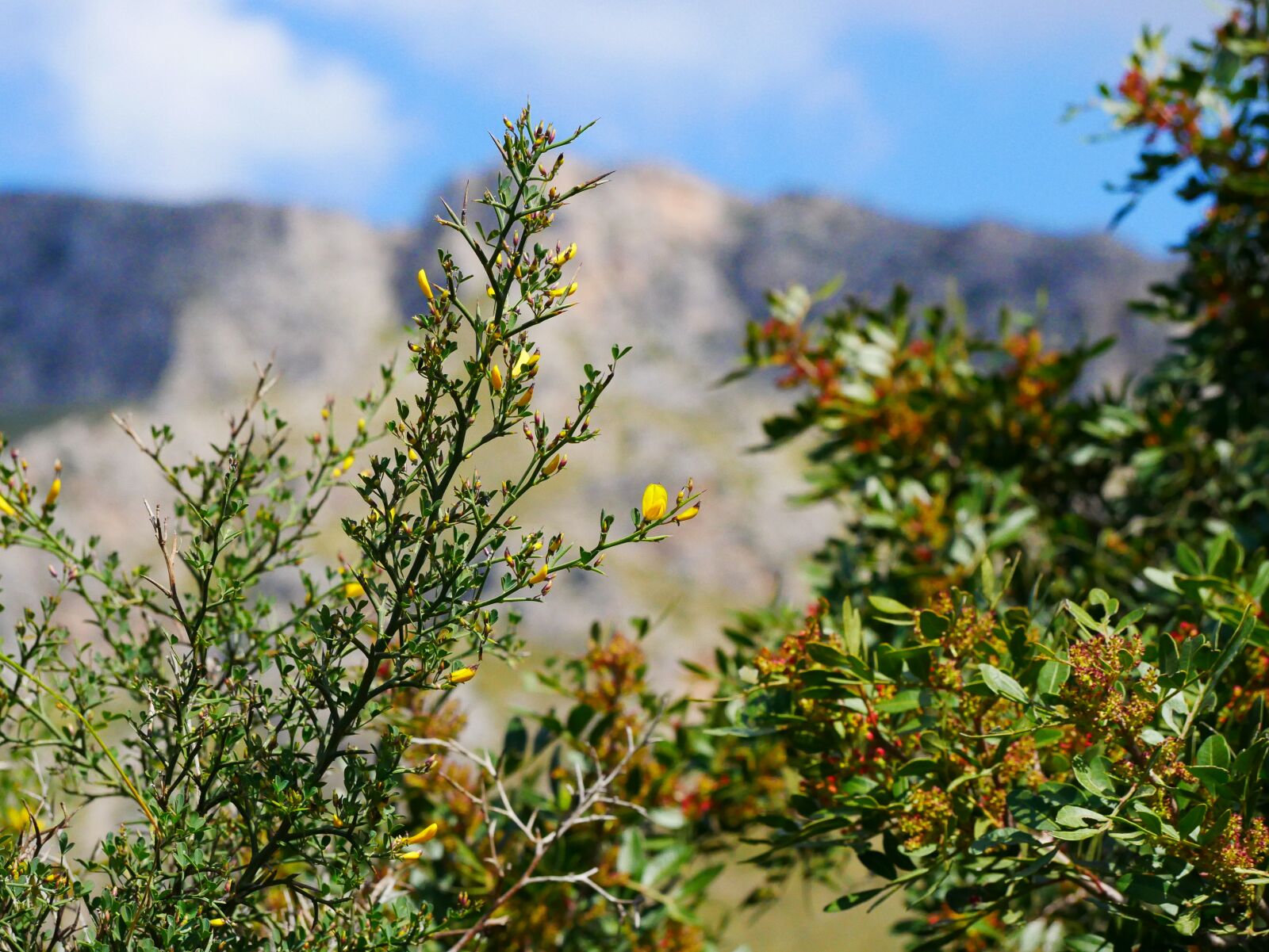 Panasonic Lumix DMC-GX85 (Lumix DMC-GX80 / Lumix DMC-GX7 Mark II) sample photo. Nature, mountains, landscape photography
