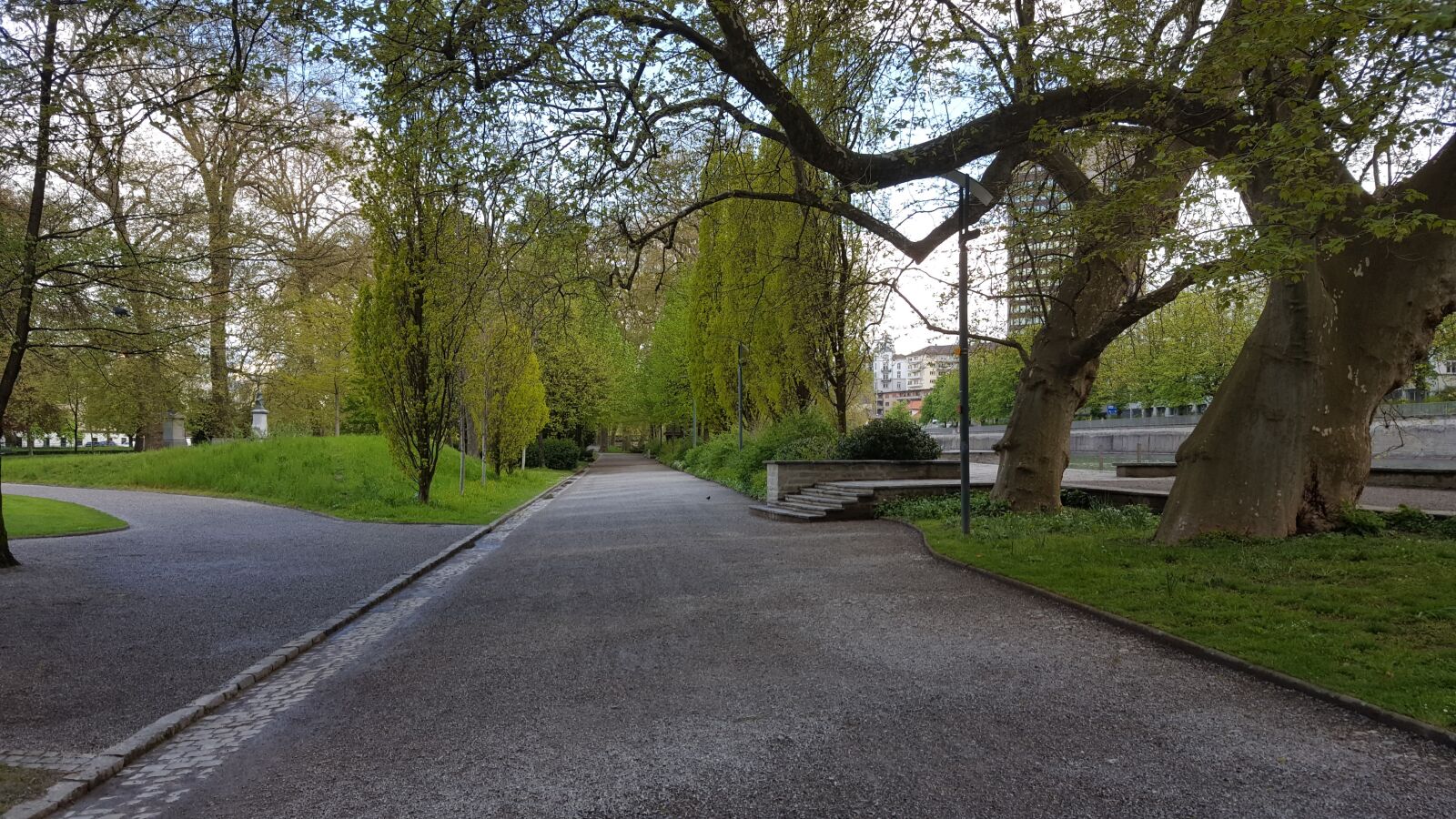 Samsung GALAXY S6 edge sample photo. Switzerland, historic center, trees photography
