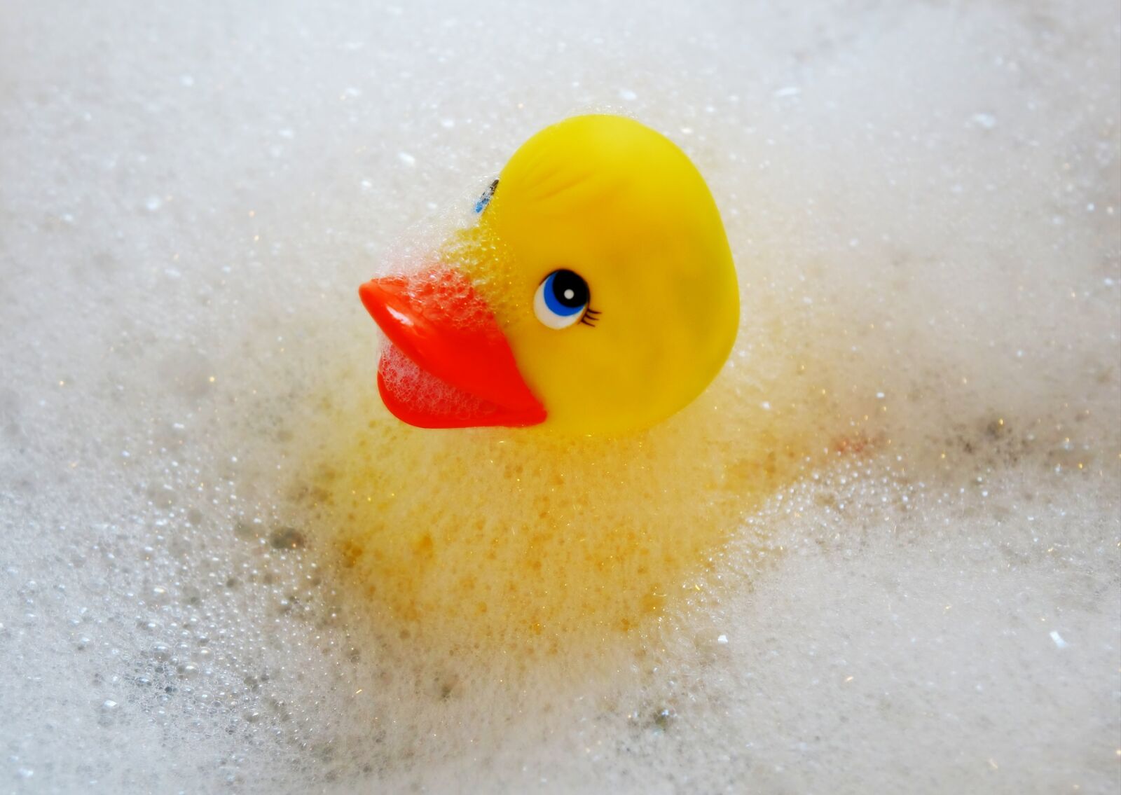 Sony Cyber-shot DSC-RX10 sample photo. Swim, duck, bath accessories photography