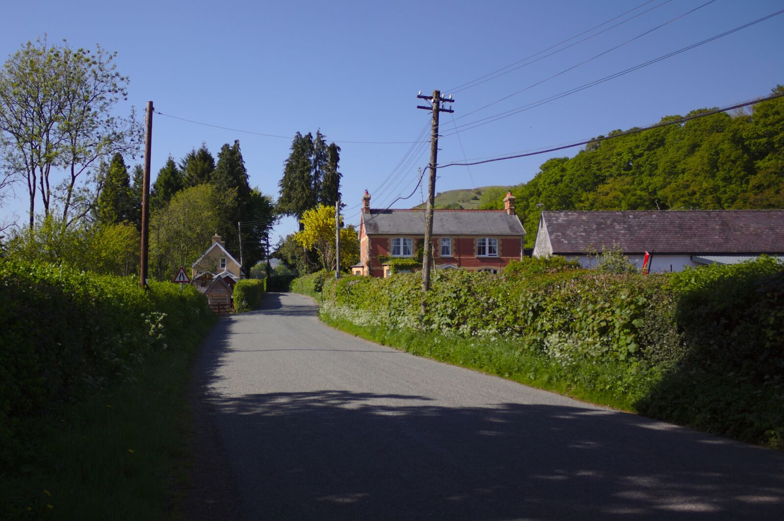 Canon EOS 50D sample photo. Road, houses, rural photography
