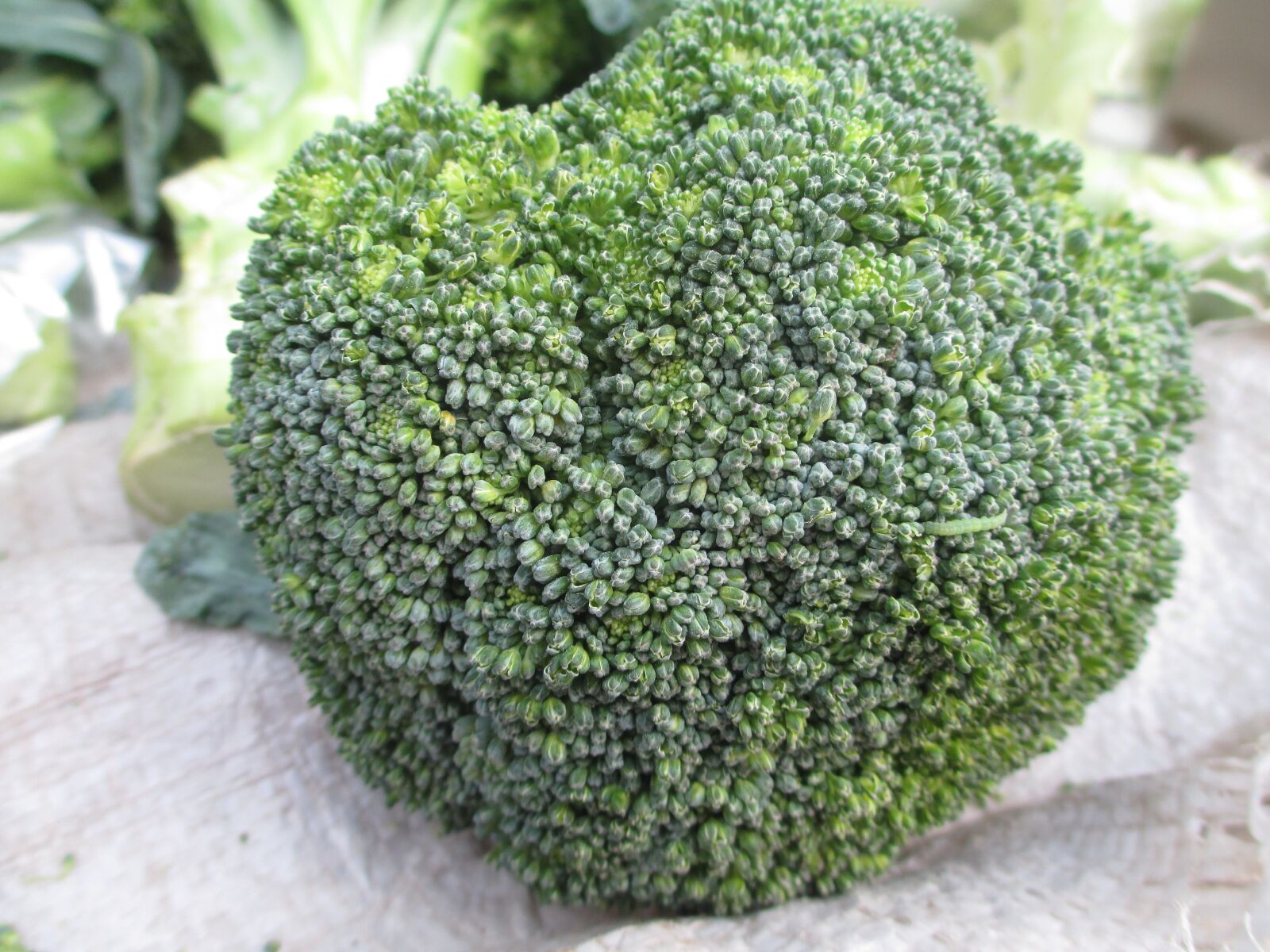 Canon PowerShot A4000 IS sample photo. Broccoli, vegetable, green photography