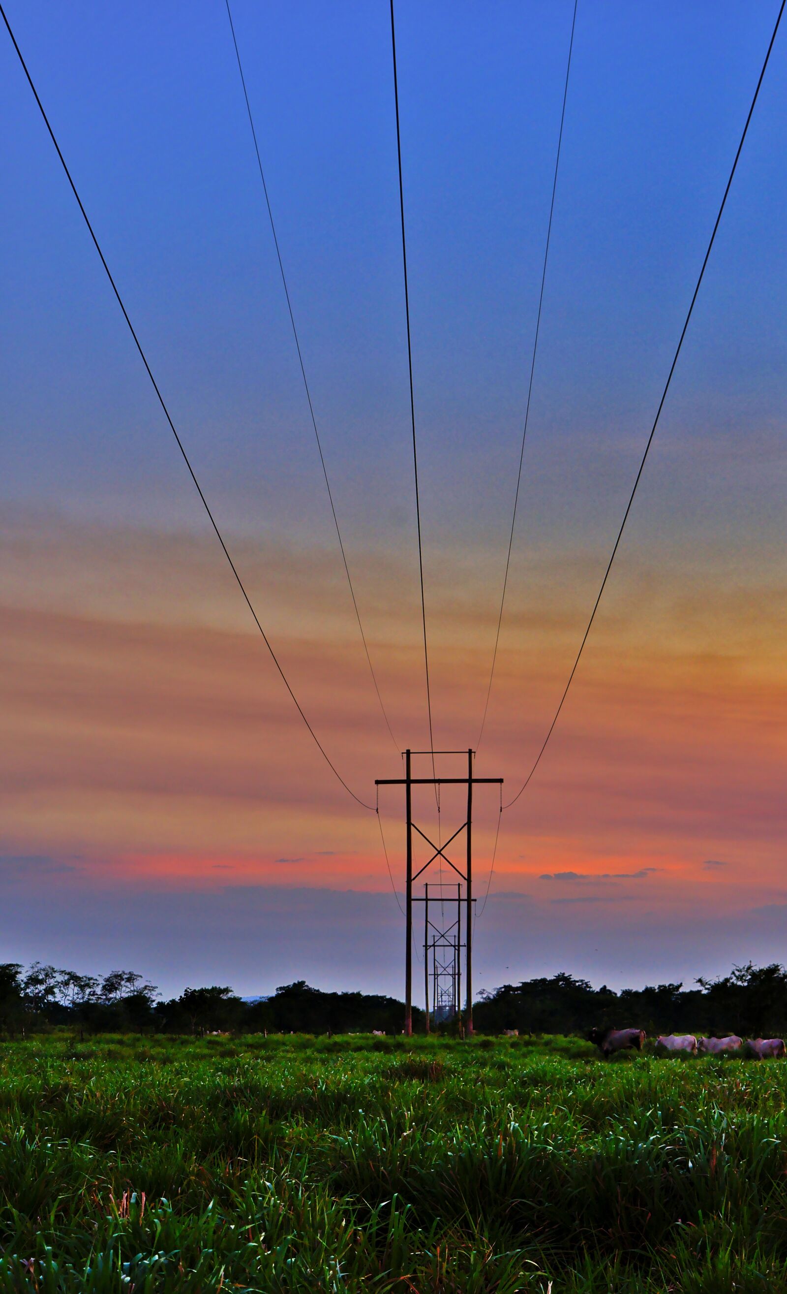 Nikon D7200 sample photo. Power lines, rural, field photography