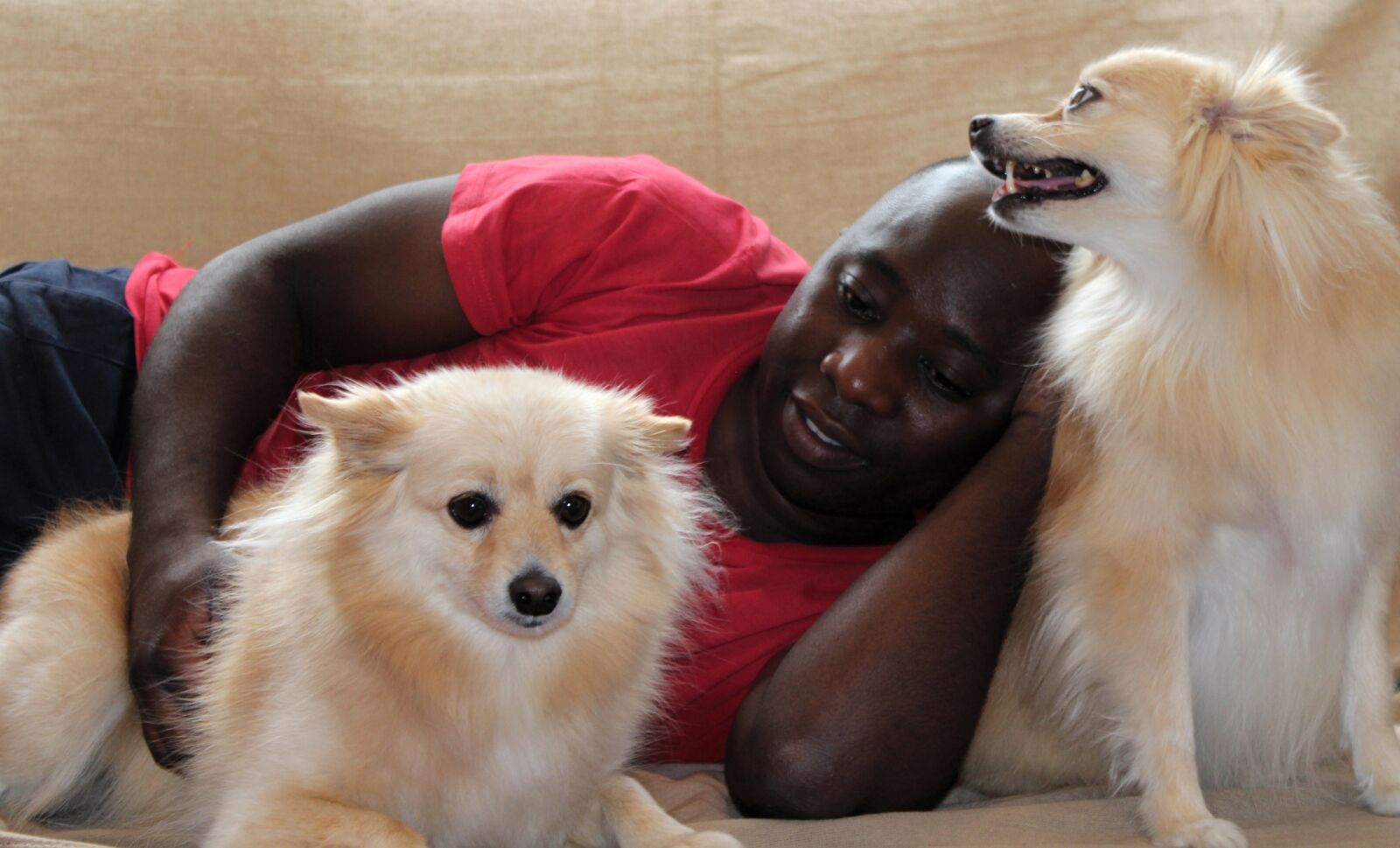Canon EOS 650D (EOS Rebel T4i / EOS Kiss X6i) sample photo. Dog, man, maltese photography