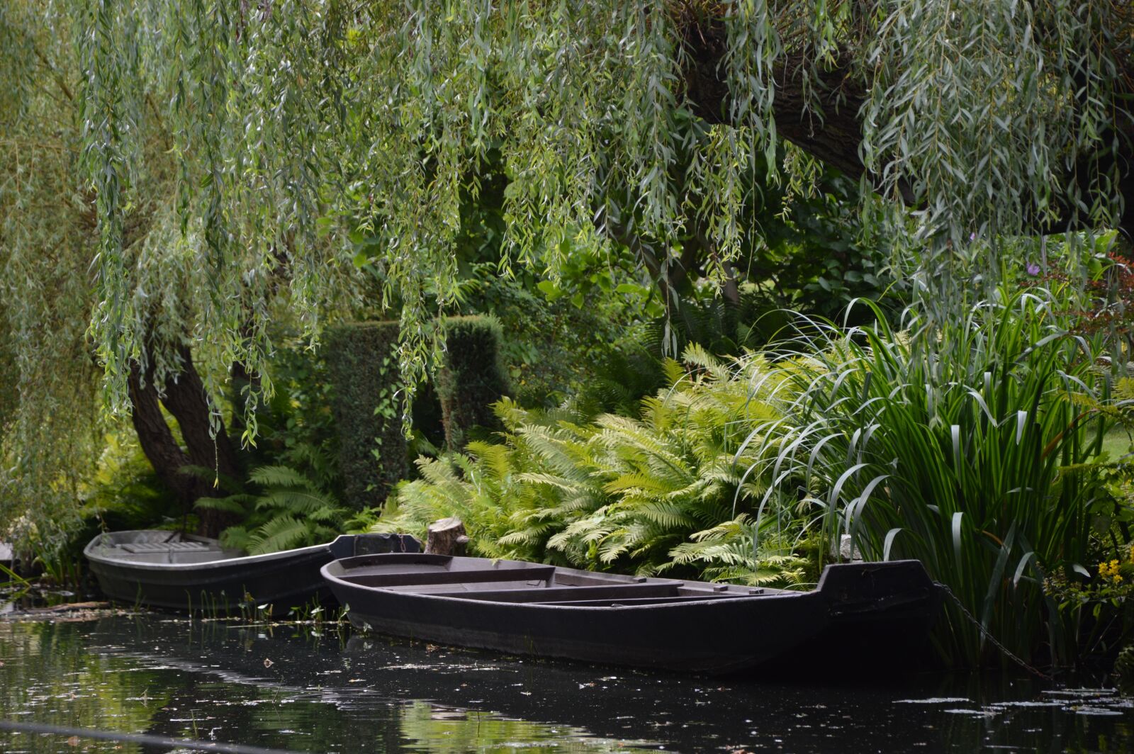 Nikon D3200 sample photo. Landscape, spreewald, kahn photography