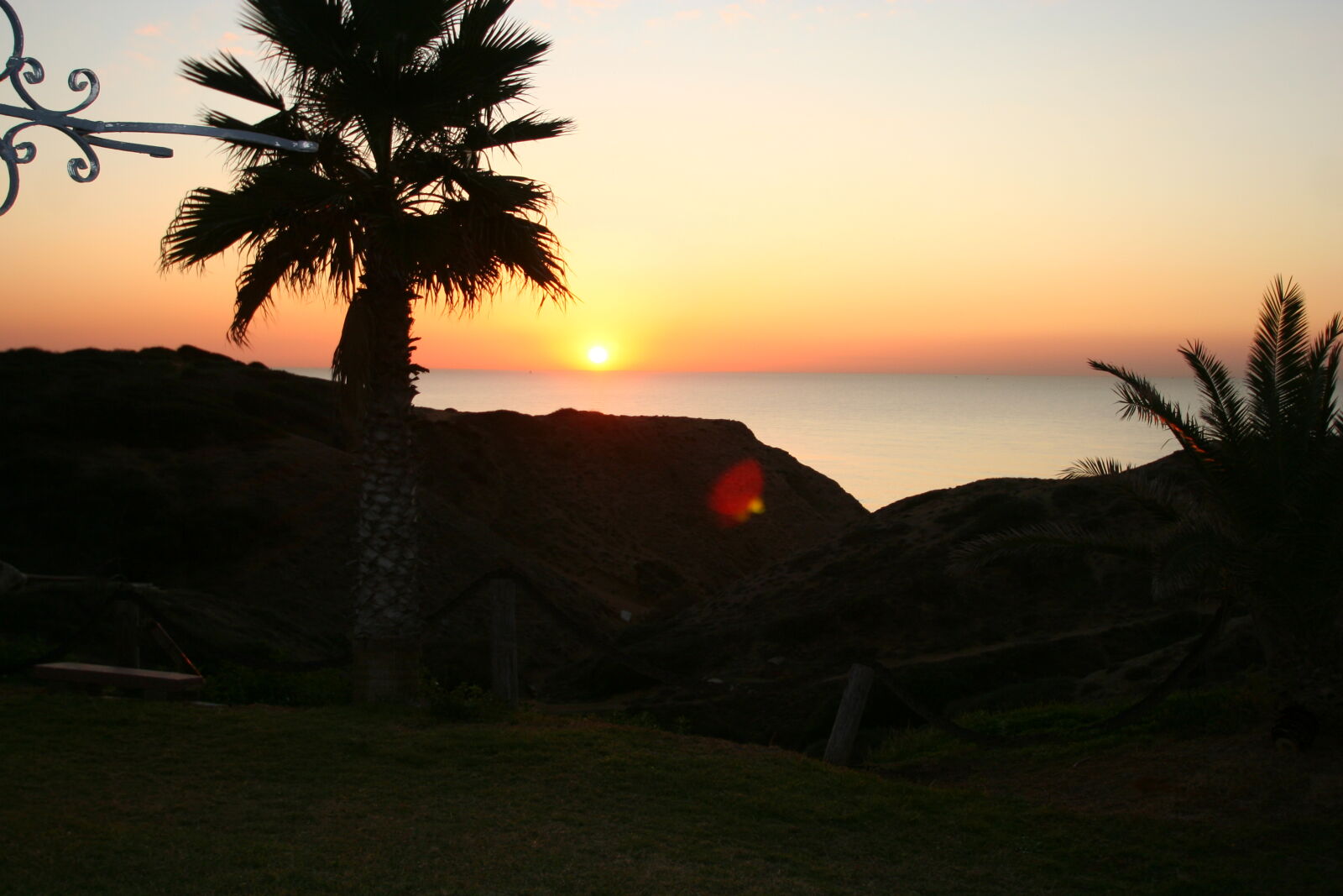 Canon EOS 350D (EOS Digital Rebel XT / EOS Kiss Digital N) sample photo. Cliff, kibbutz, gash, palm photography