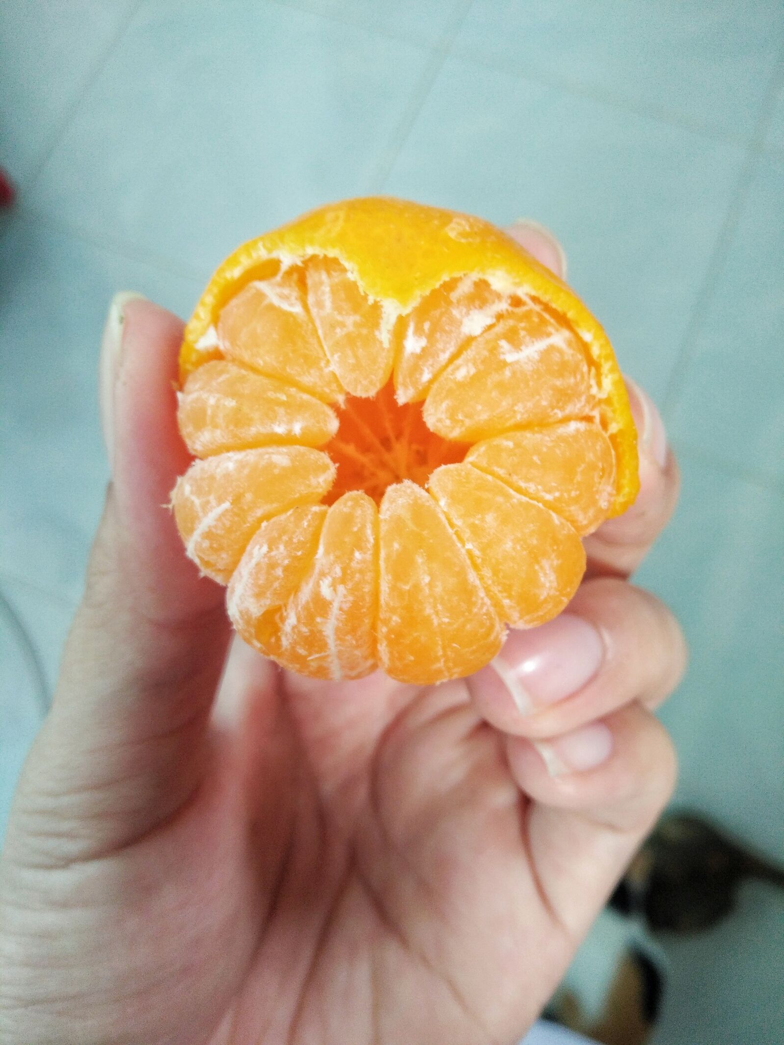 OPPO F1f sample photo. Orange, fruits, sweet photography