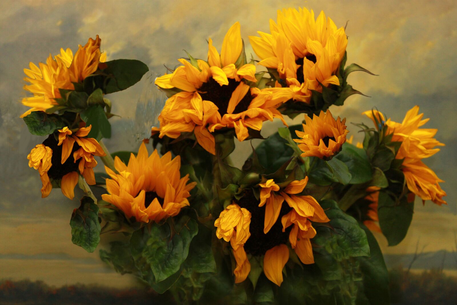 Canon EOS 500D (EOS Rebel T1i / EOS Kiss X3) sample photo. Sunflowers, against, painting photography
