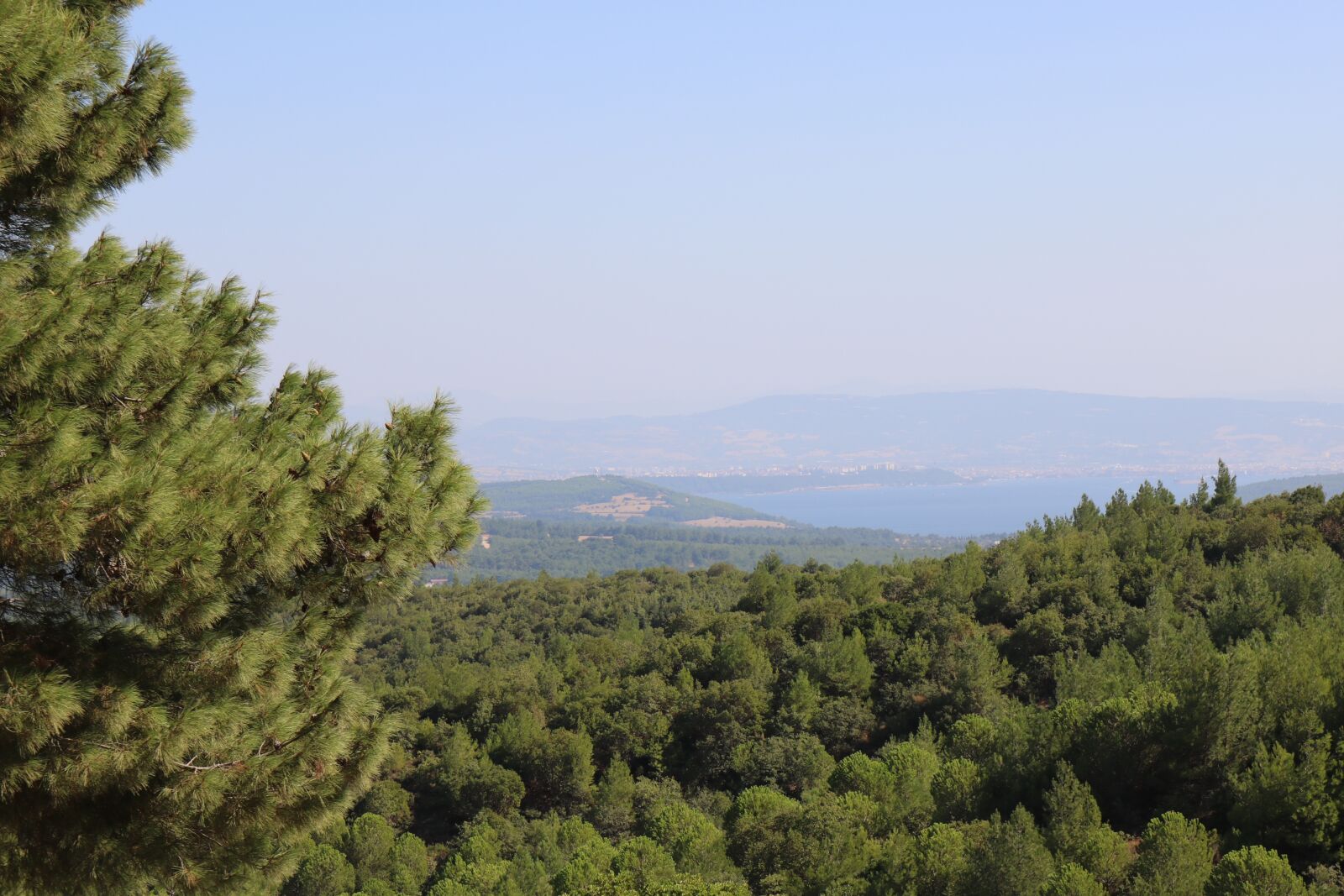 Canon EOS 750D (EOS Rebel T6i / EOS Kiss X8i) sample photo. Landscape, tree, nature photography