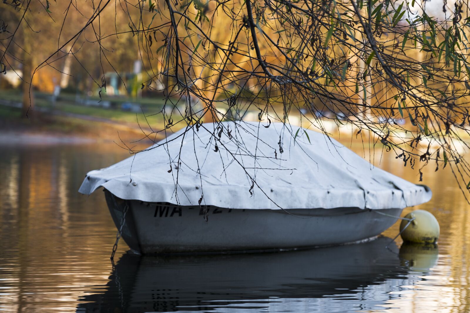 Fujifilm XF 50-140mm F2.8 R LM OIS WR sample photo. Tree, aesthetic, boat photography