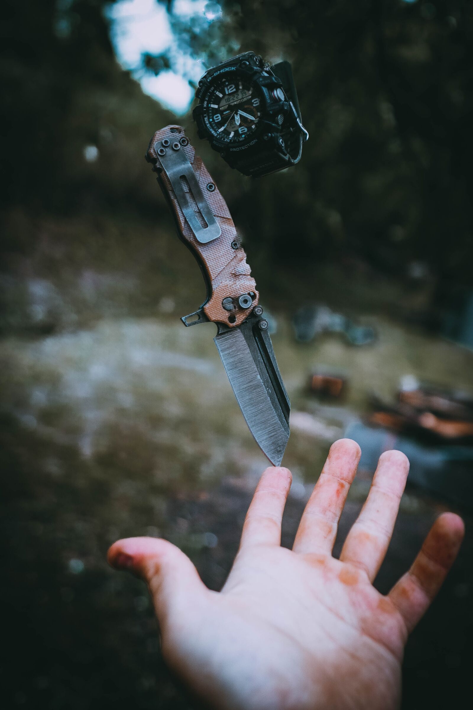 Sony a6400 + Sigma 16mm F1.4 DC DN | C sample photo. Knife, nature, green photography