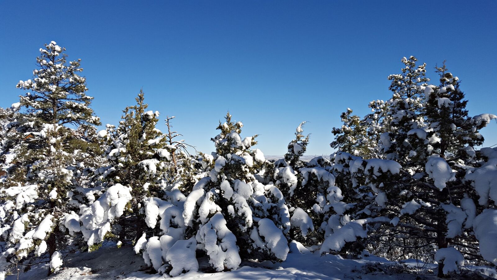 Samsung Galaxy S6 sample photo. Snow, cold, snow scape photography