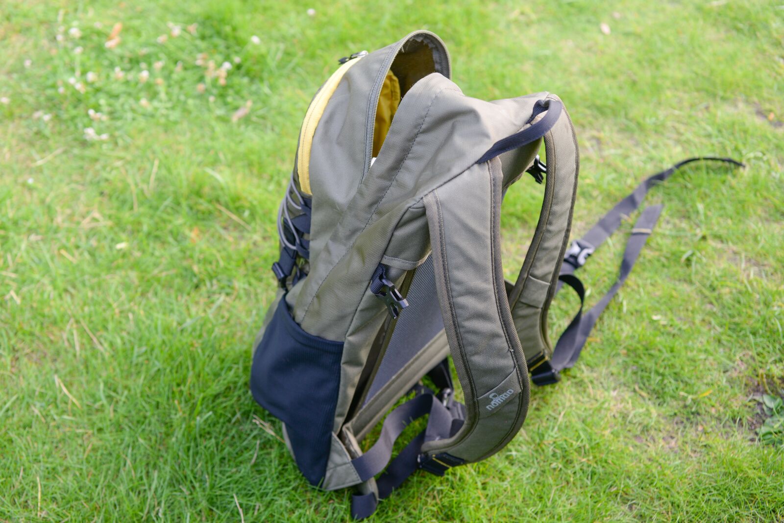 Nikon D610 sample photo. Backpack, grass, travel photography