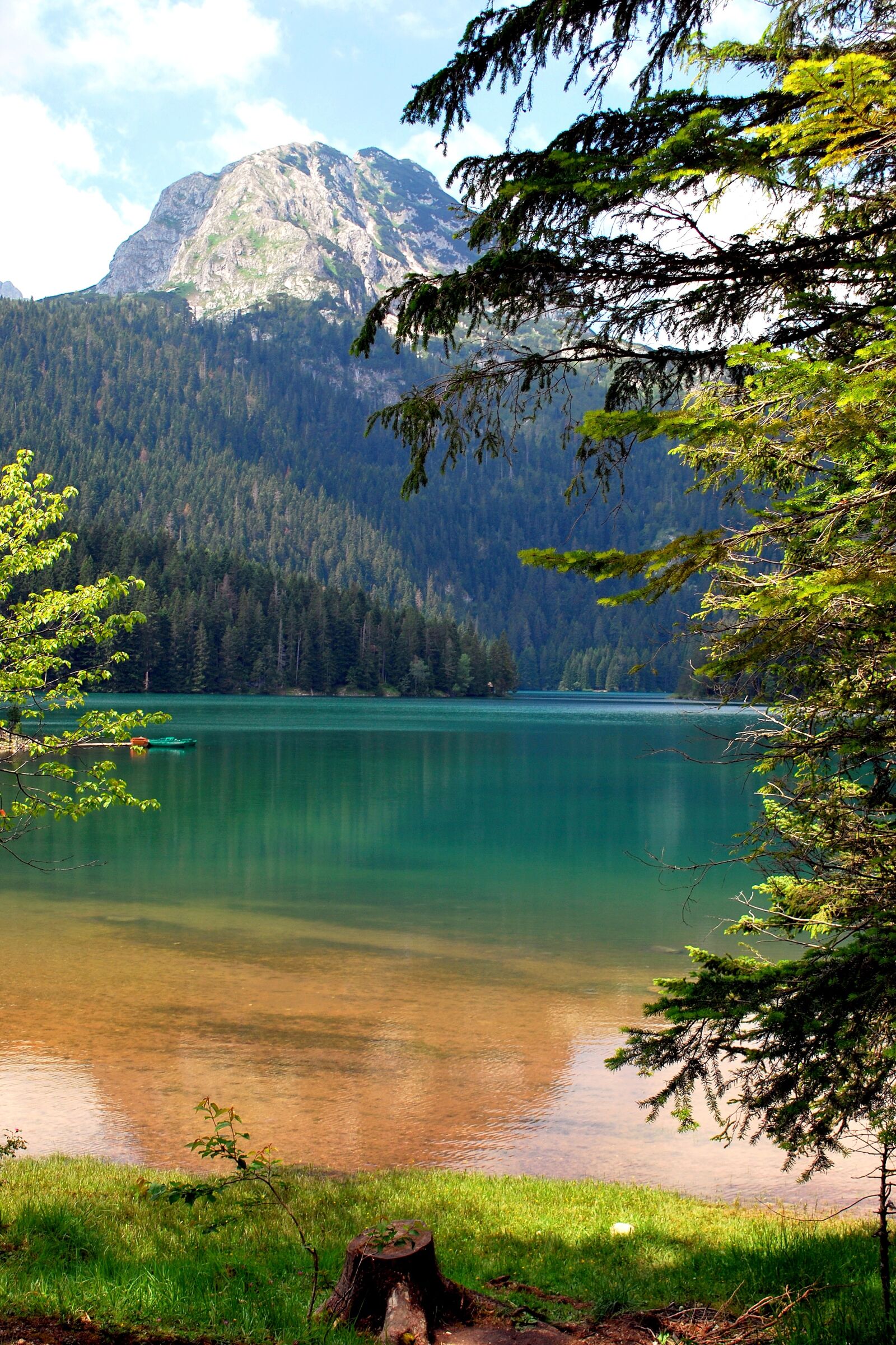 Nikon D60 sample photo. Lake, trees, water photography