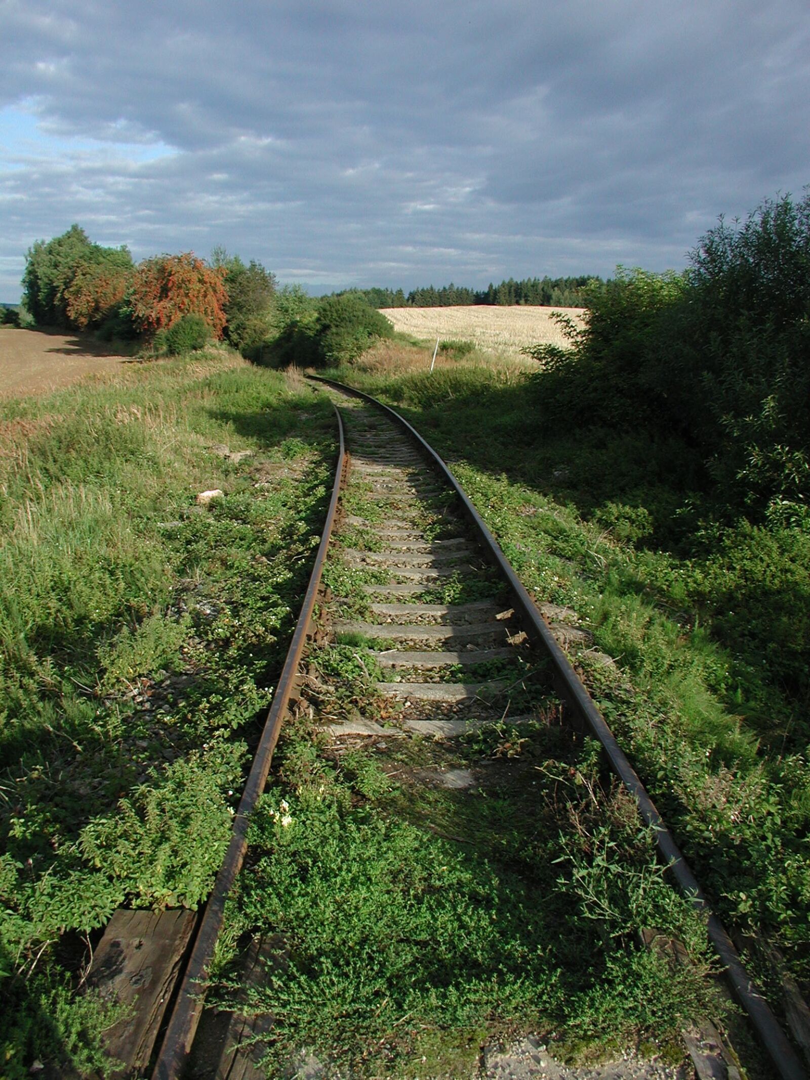Olympus C3040Z sample photo. Track, railway, nature photography