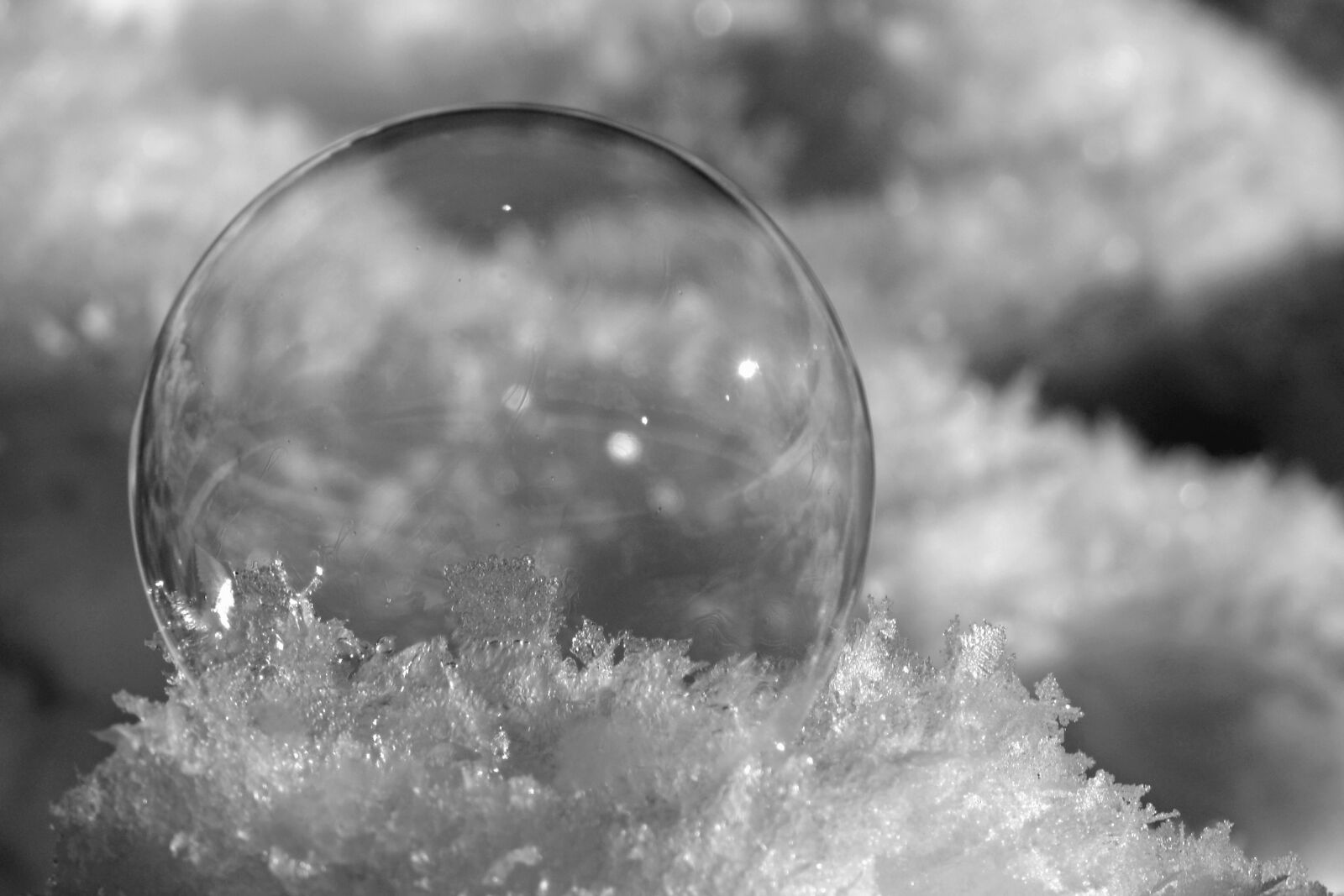 Nikon D7100 sample photo. Soap bubble, winter, cold photography