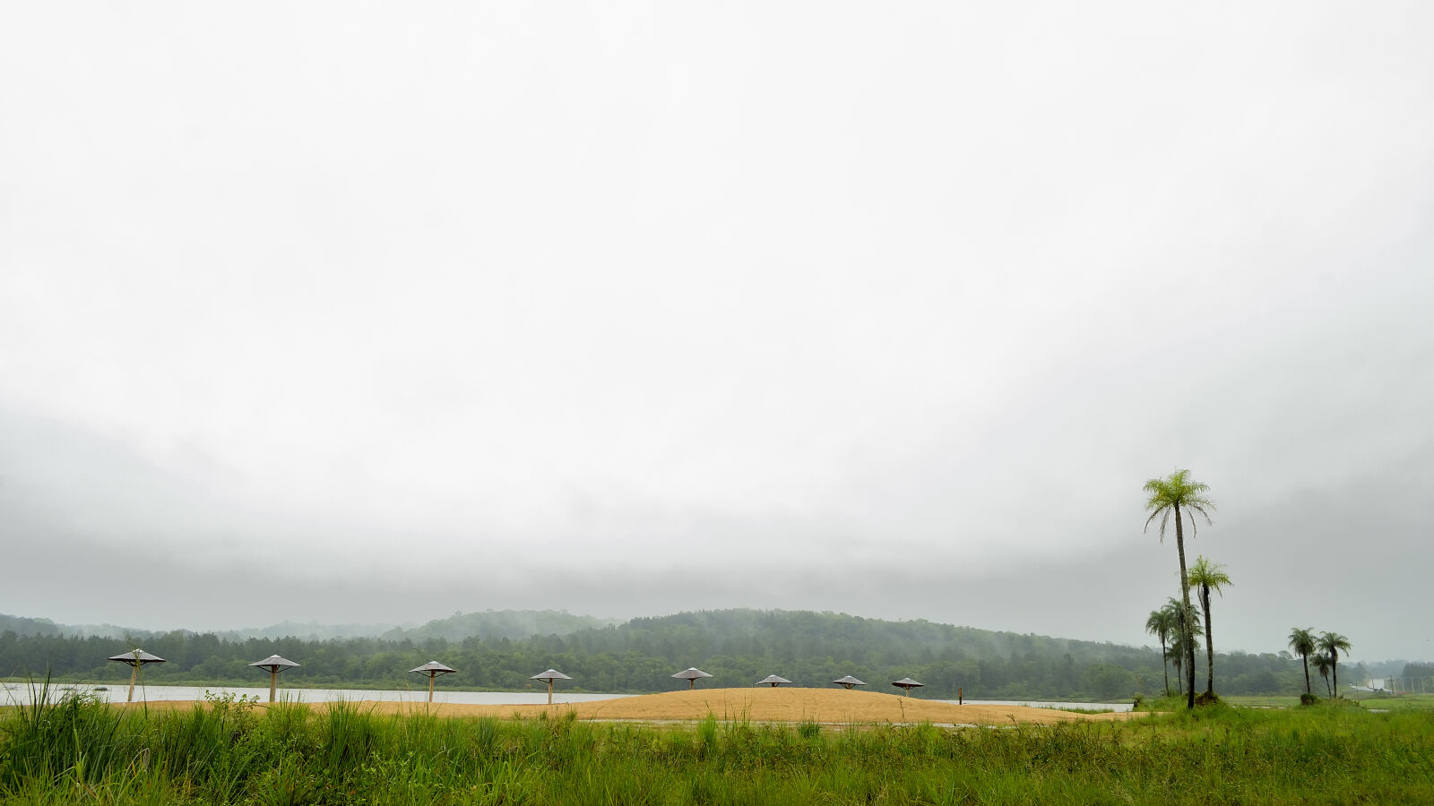 Nikon D5100 sample photo