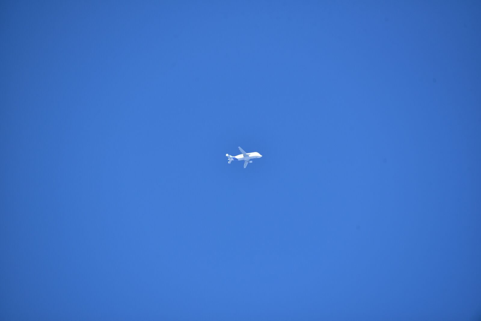 Nikon D750 sample photo. Aircraft, sky, beluga photography