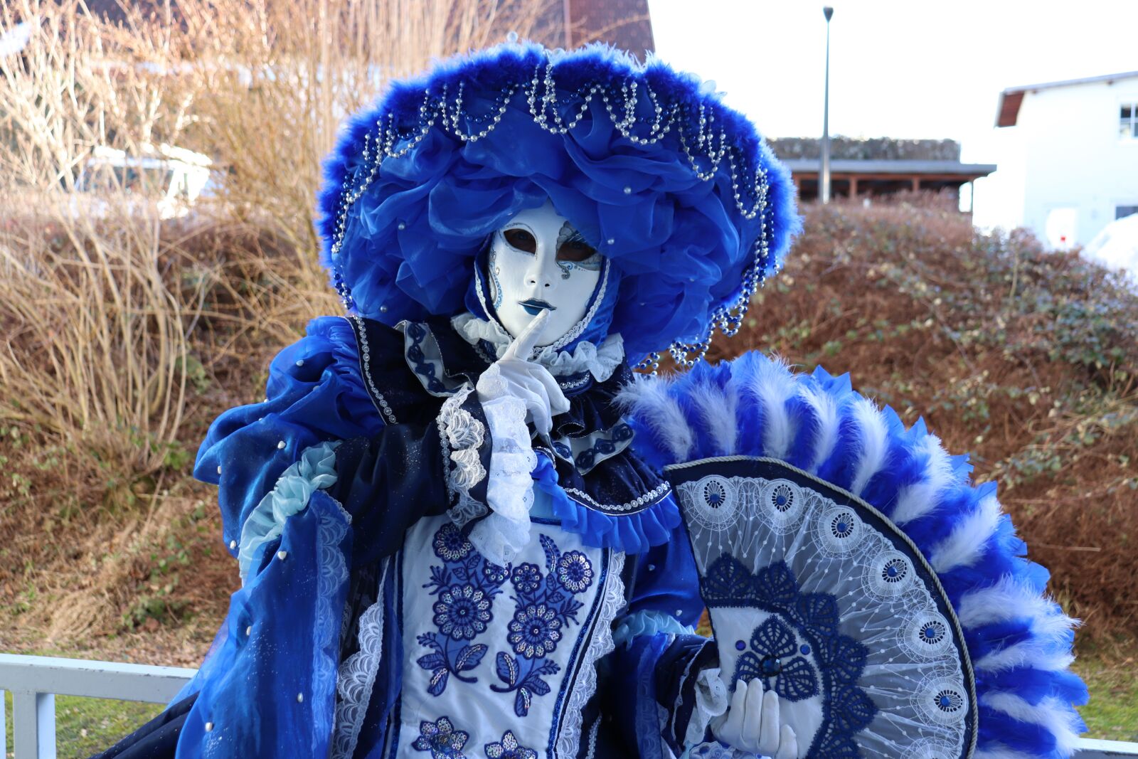 Canon EOS 77D (EOS 9000D / EOS 770D) sample photo. Mask, carnival, masquerade photography