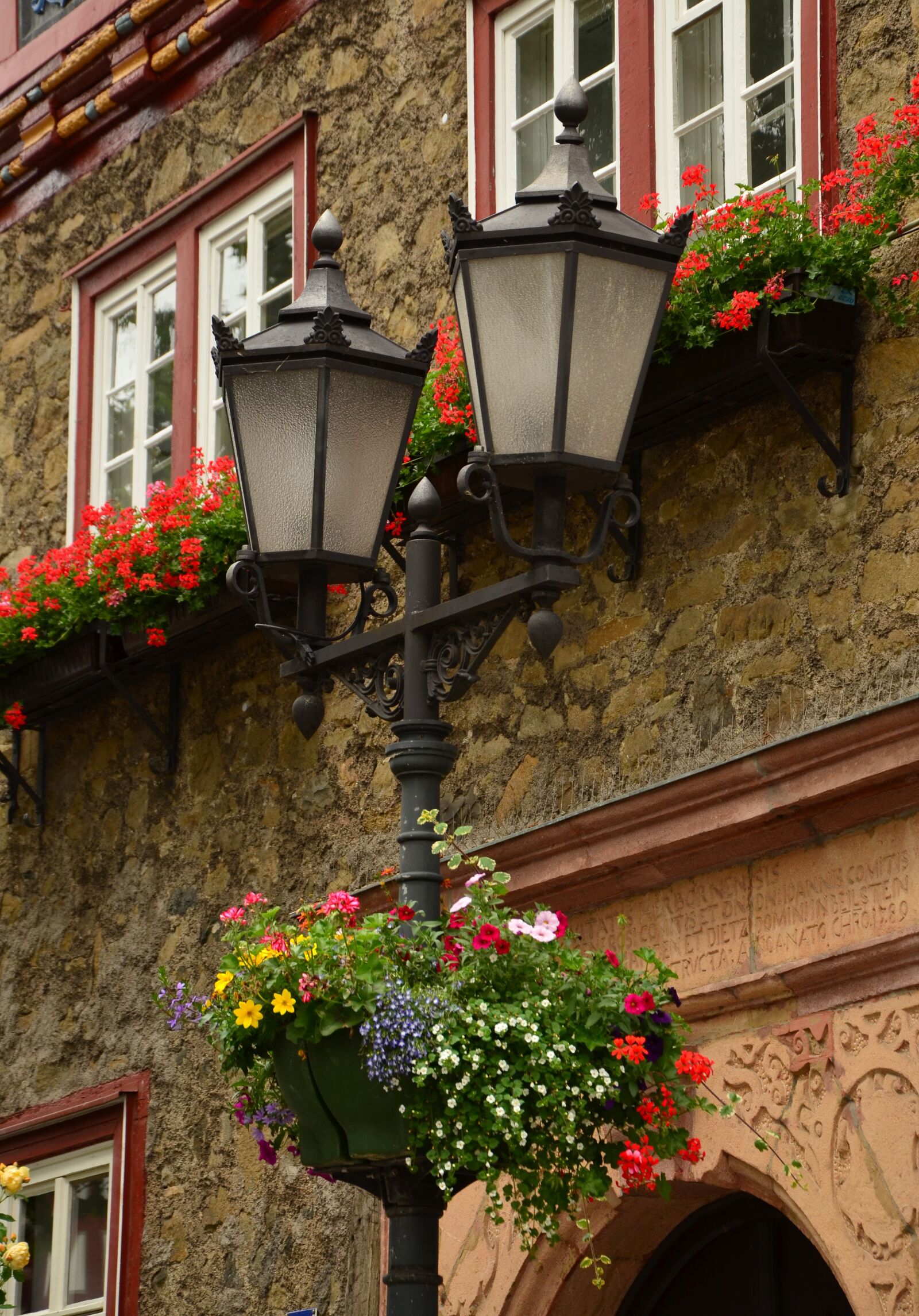 Nikon D5100 sample photo. Lantern, street lamp, floral photography
