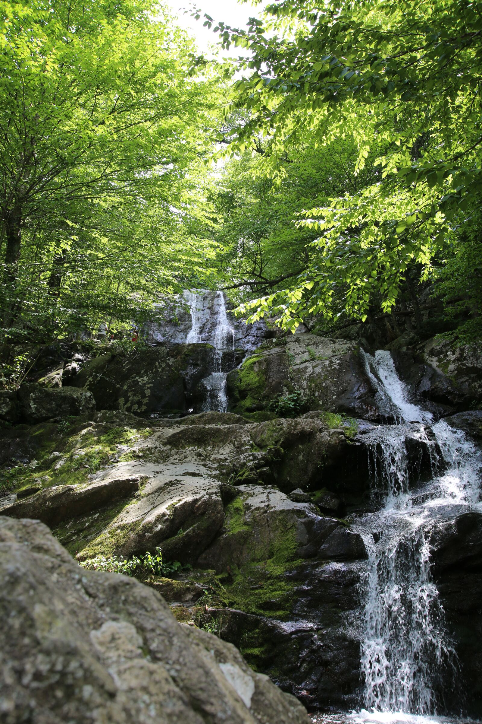 Canon EOS 5D Mark III sample photo. Waterfall, nature, water photography