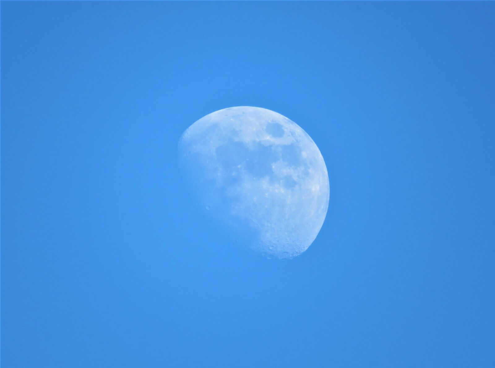 Canon PowerShot SX60 HS sample photo. Moon, daytime, closeup photography