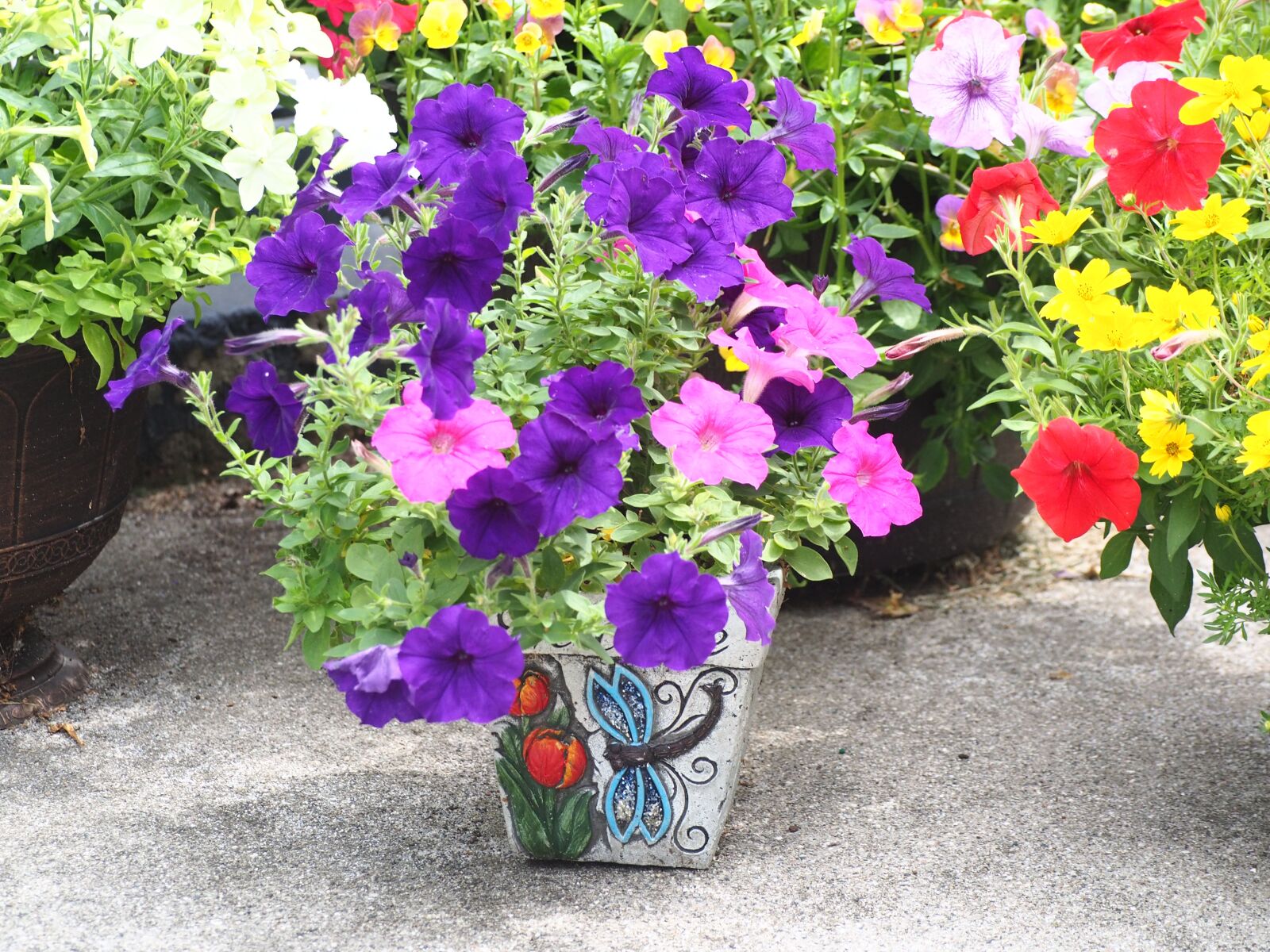 Olympus OM-D E-M10 sample photo. Garden, flower, plants photography