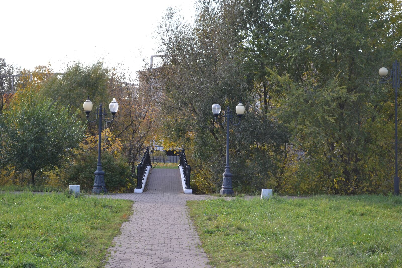 Nikon D3100 sample photo. Bridge, park, nature photography