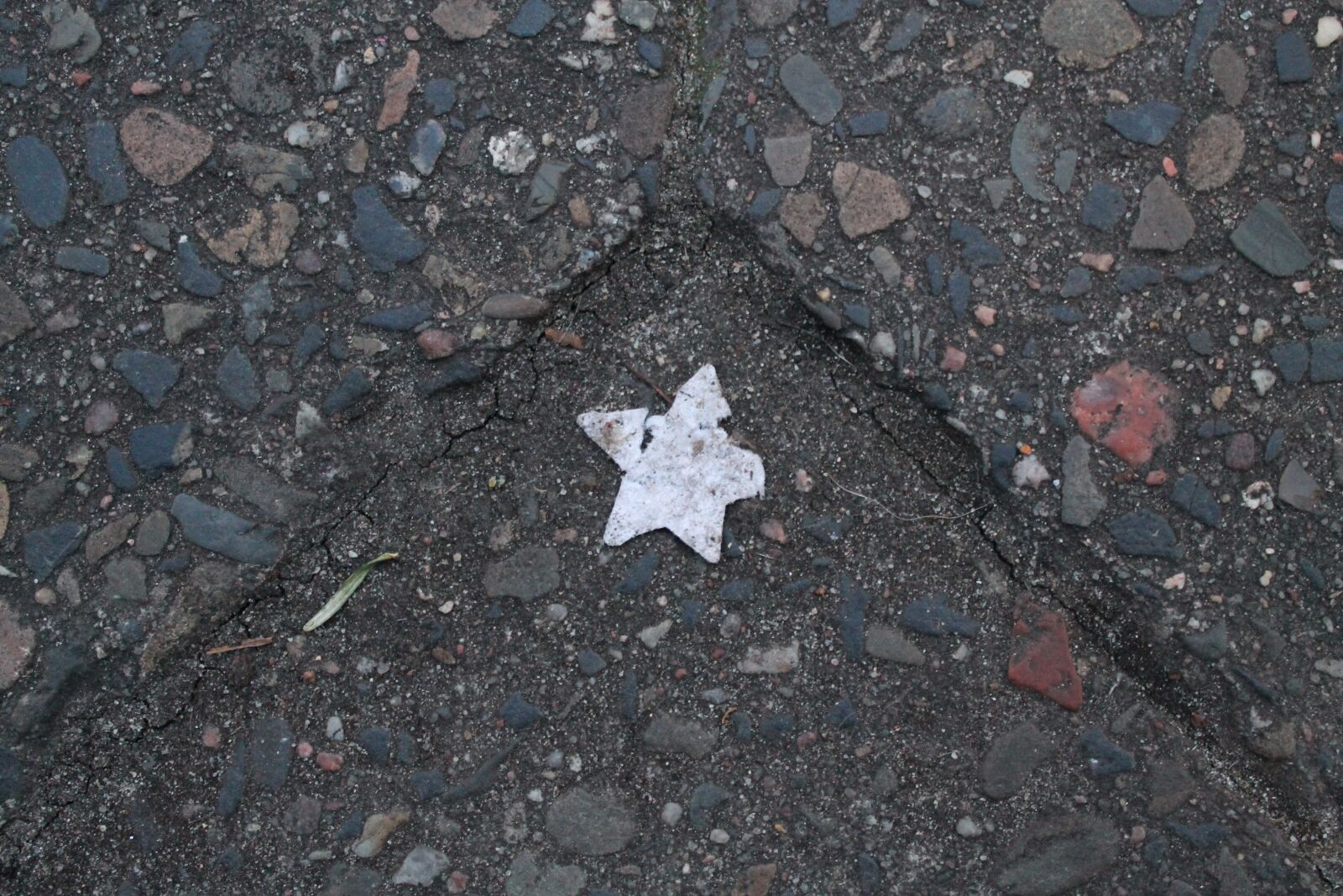 Canon EOS 1100D (EOS Rebel T3 / EOS Kiss X50) sample photo. Star, ground, christmas photography