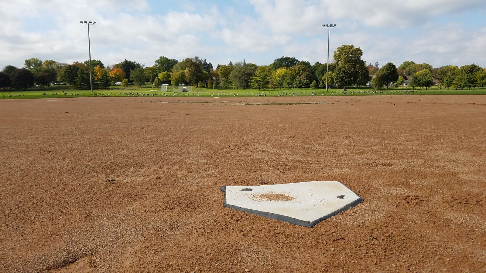 Samsung Galaxy S7 Edge sample photo. Home plate, baseball, baseball photography
