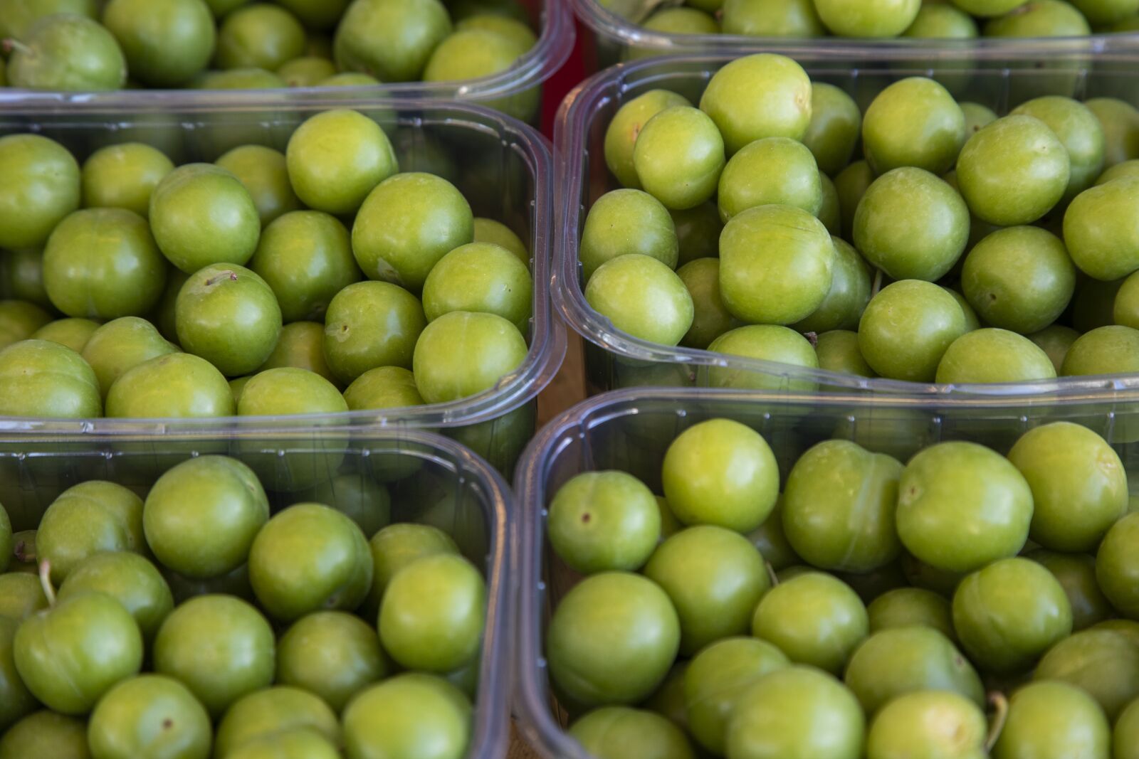 Canon EOS 5D Mark IV sample photo. Erik, green, fruit photography