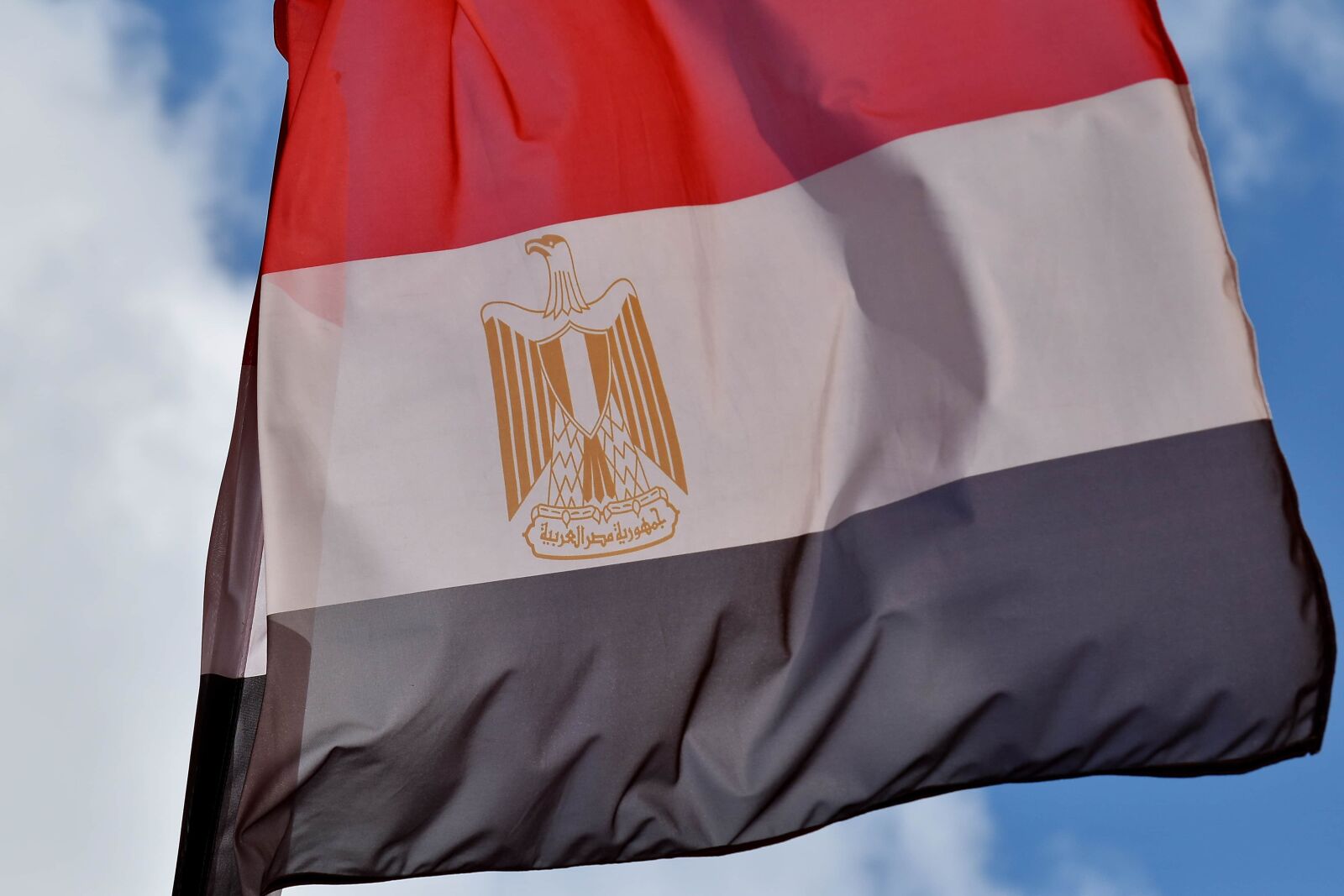 Nikon D5500 sample photo. Egypt, flag, heraldry, symbol photography